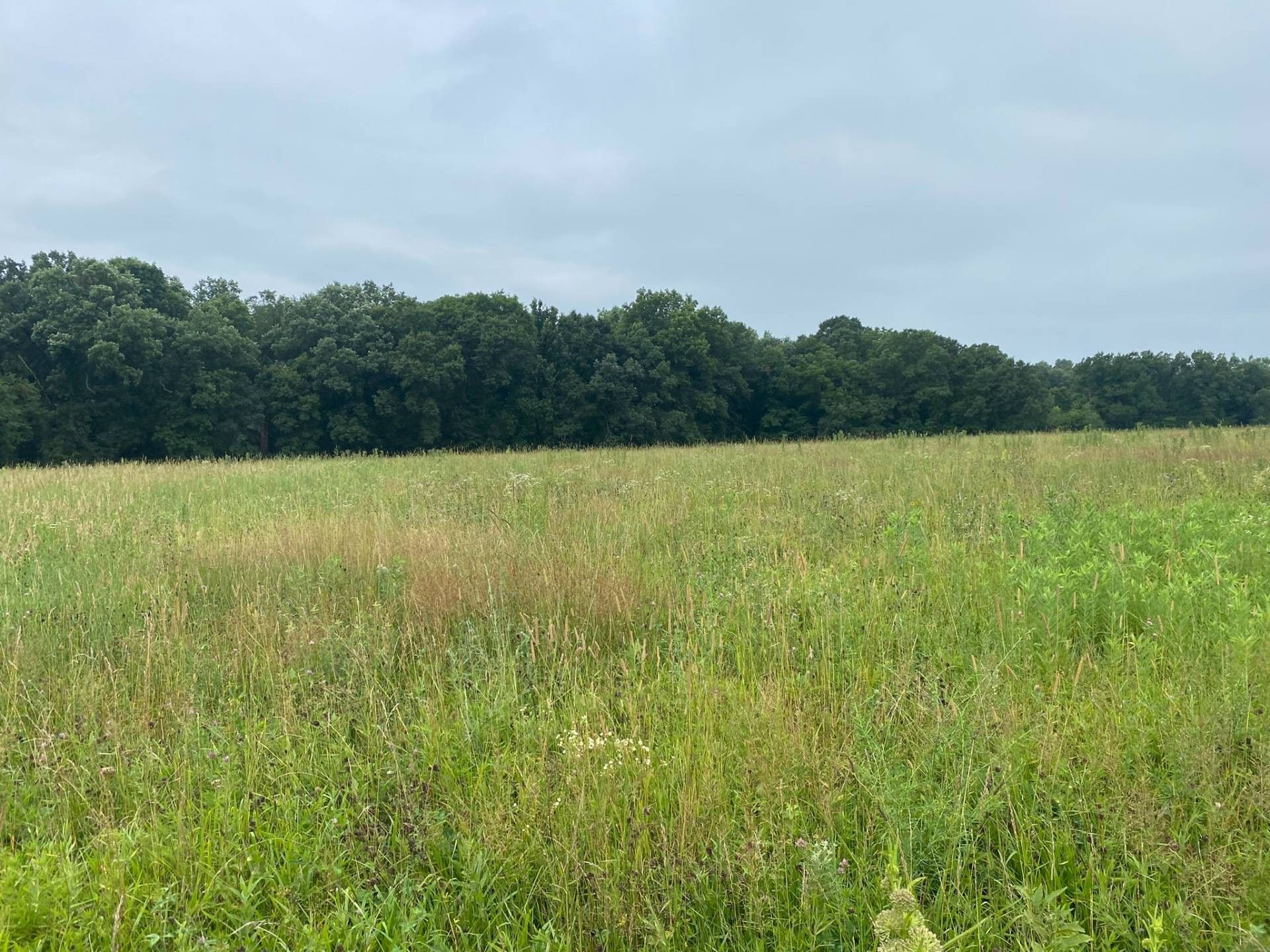 40 acres in Daviess County, Missouri