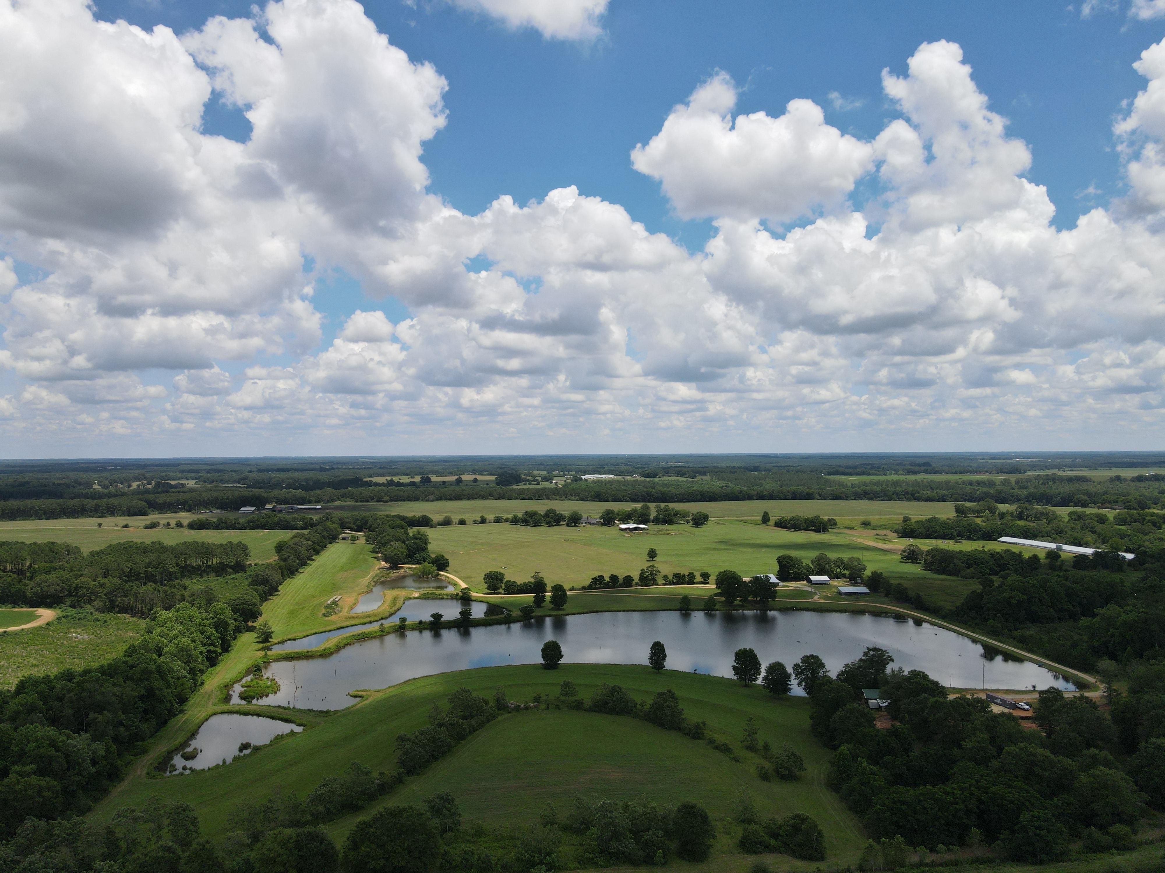 48 acres in Coffee County, Alabama