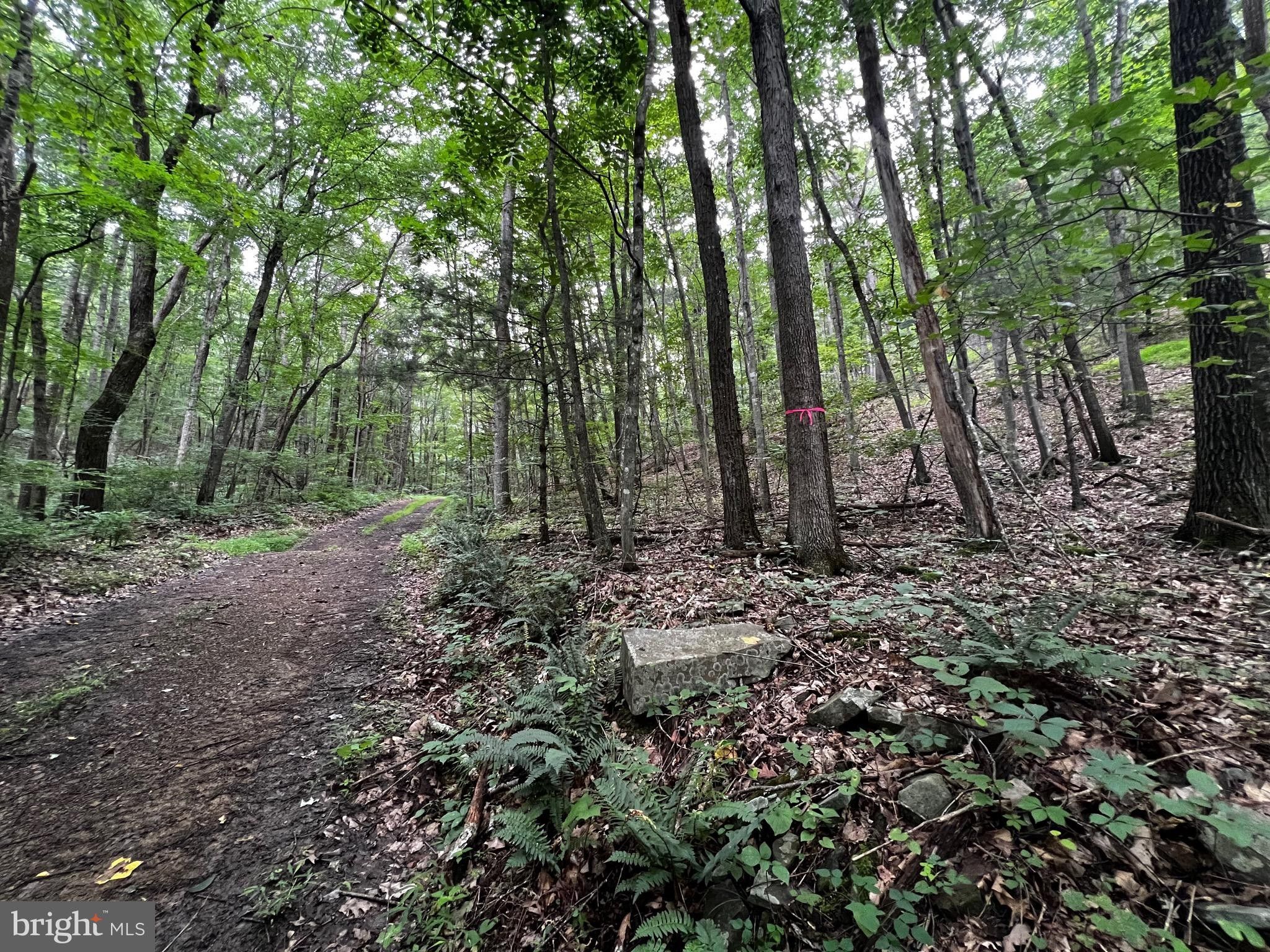 4 acres in Hardy County, West Virginia