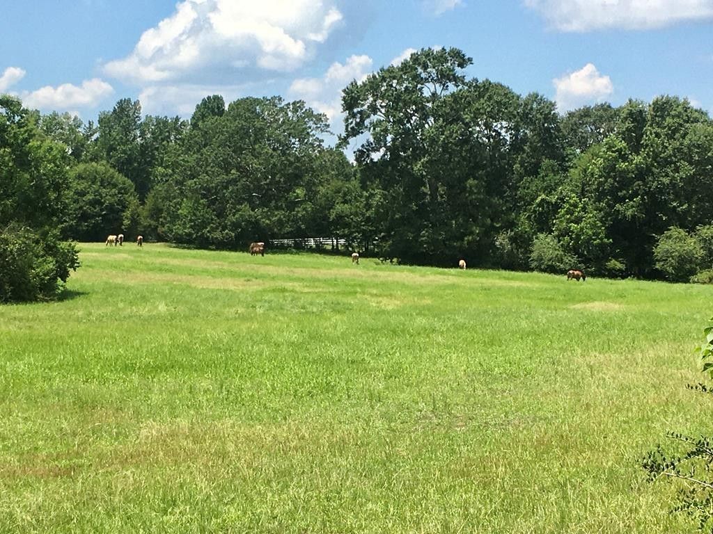 8 acres in Amite County, Mississippi