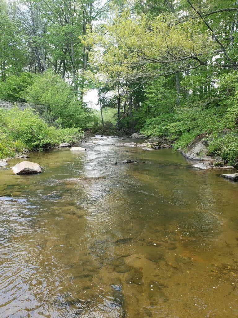 7 acres in Grayson County, Virginia