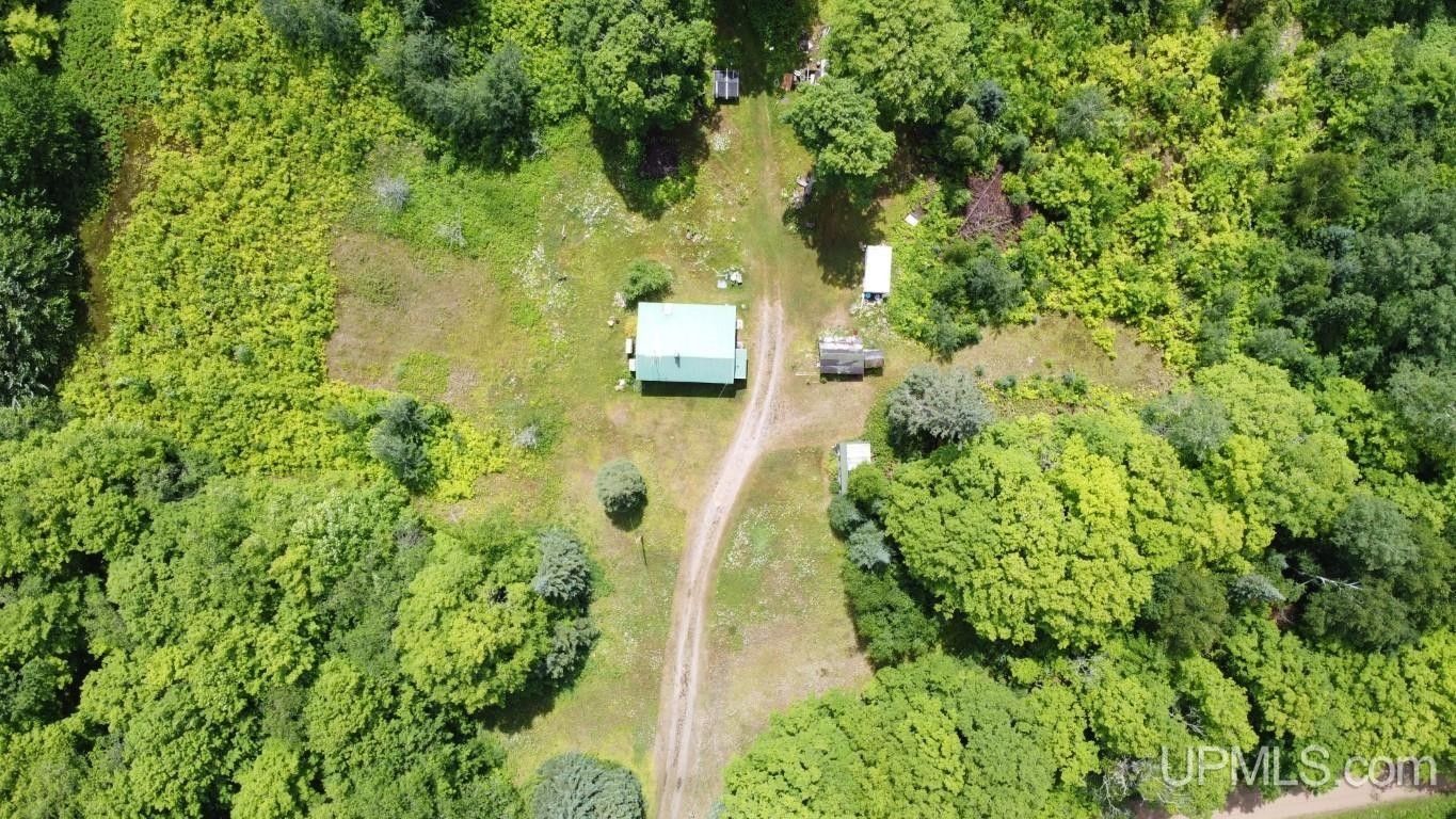 30 acres in Alger County, Michigan
