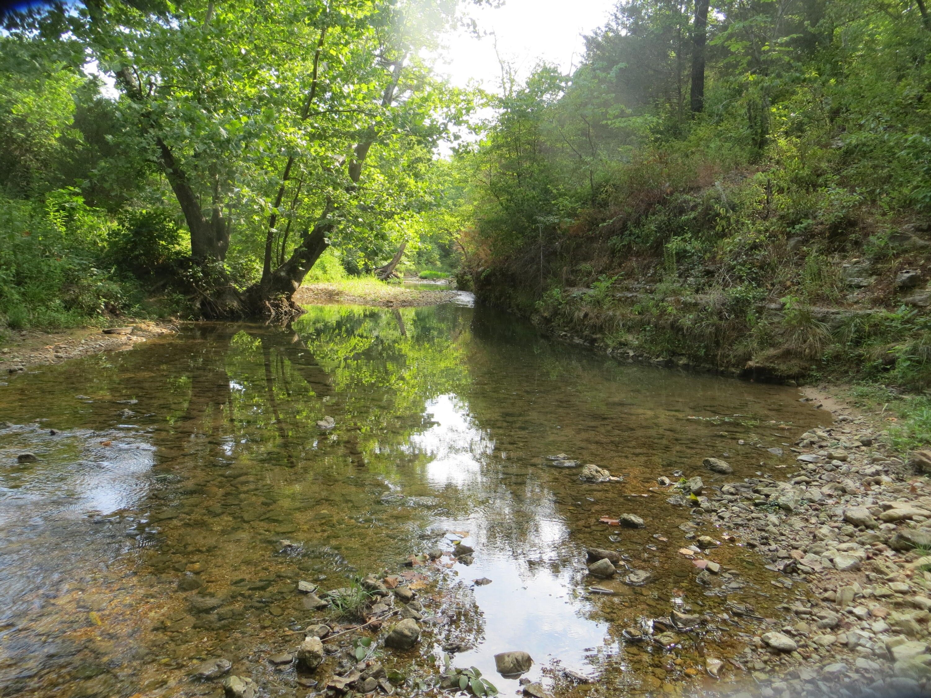 15 acres in Fulton County, Arkansas