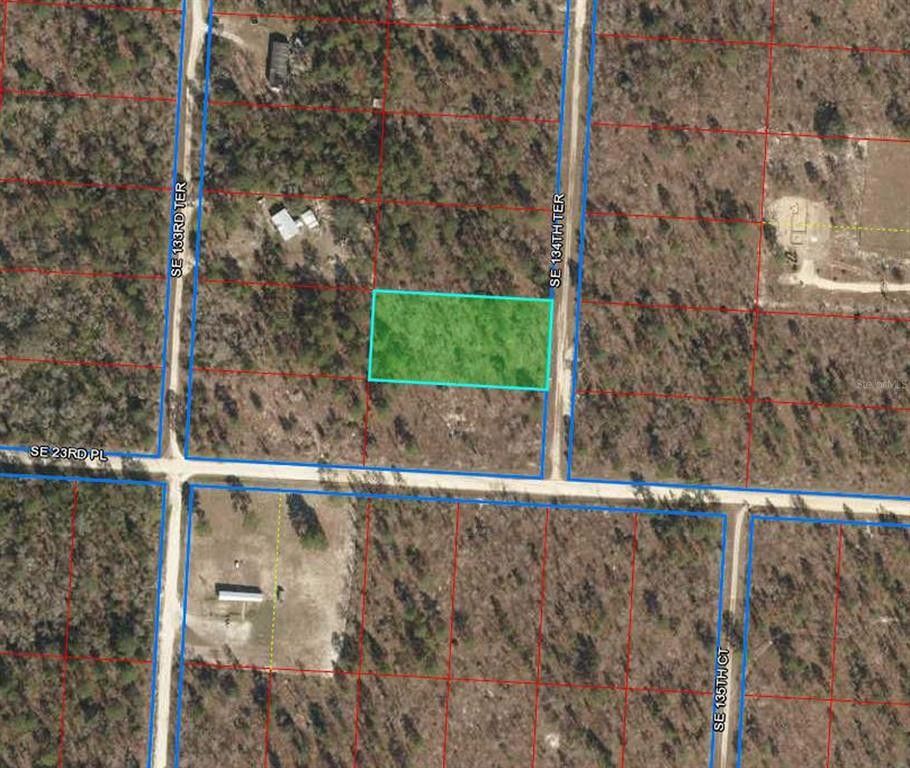 1.25 acres in Levy County, Florida