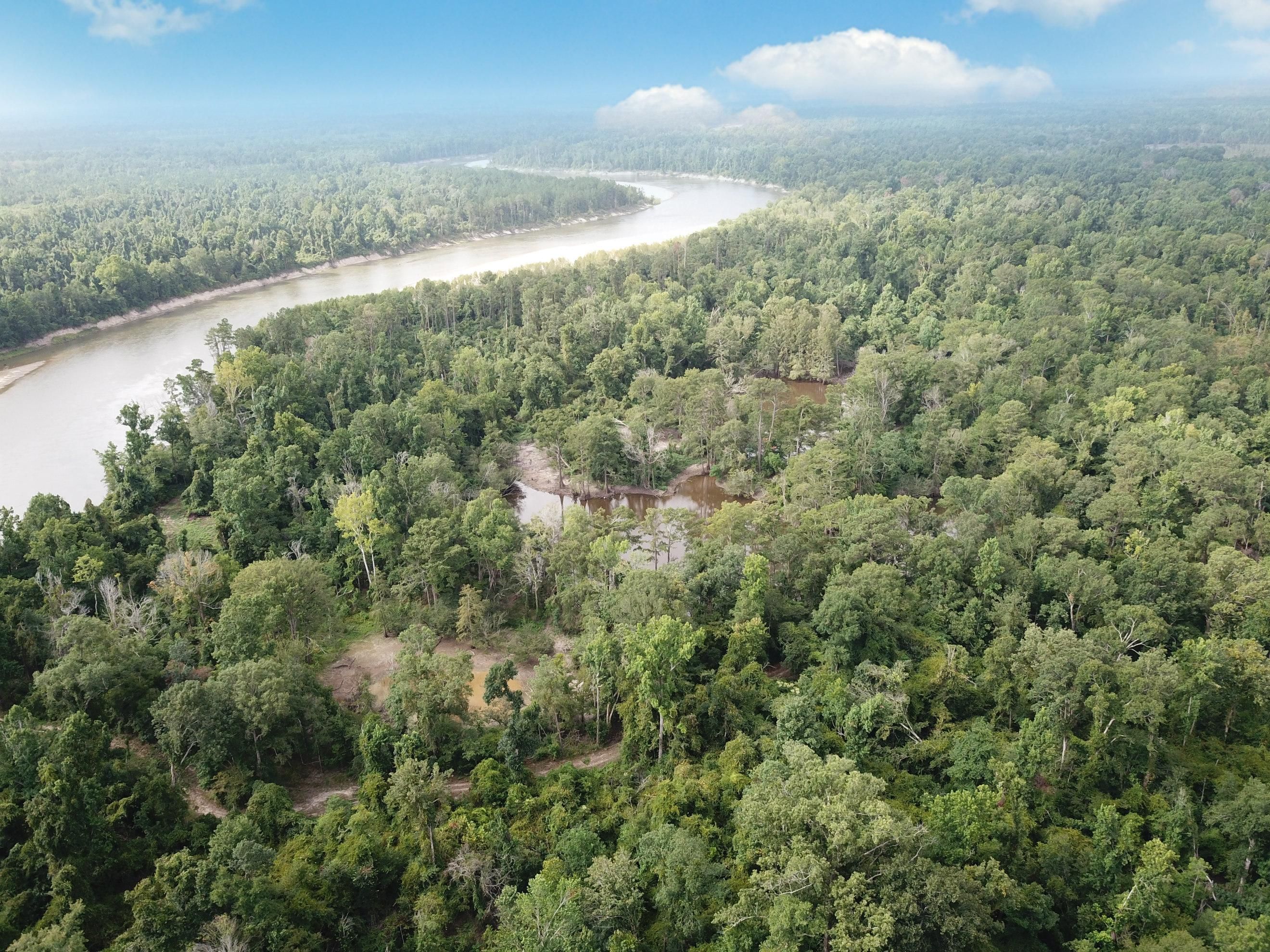 County Road 4081, Bon Wier, TX 75928 MLS 205674