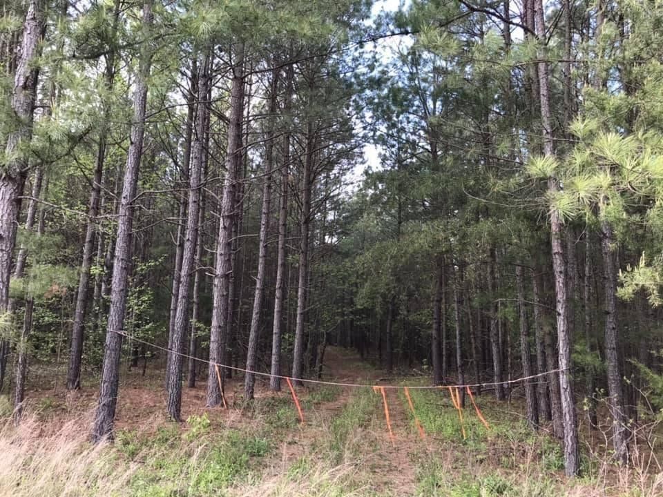 30.56 acres in Lunenburg County, Virginia