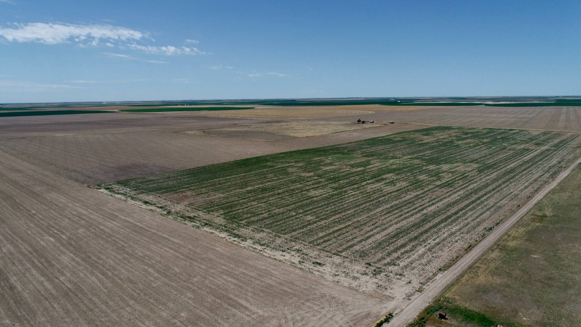 117 acres in Thomas County, Kansas