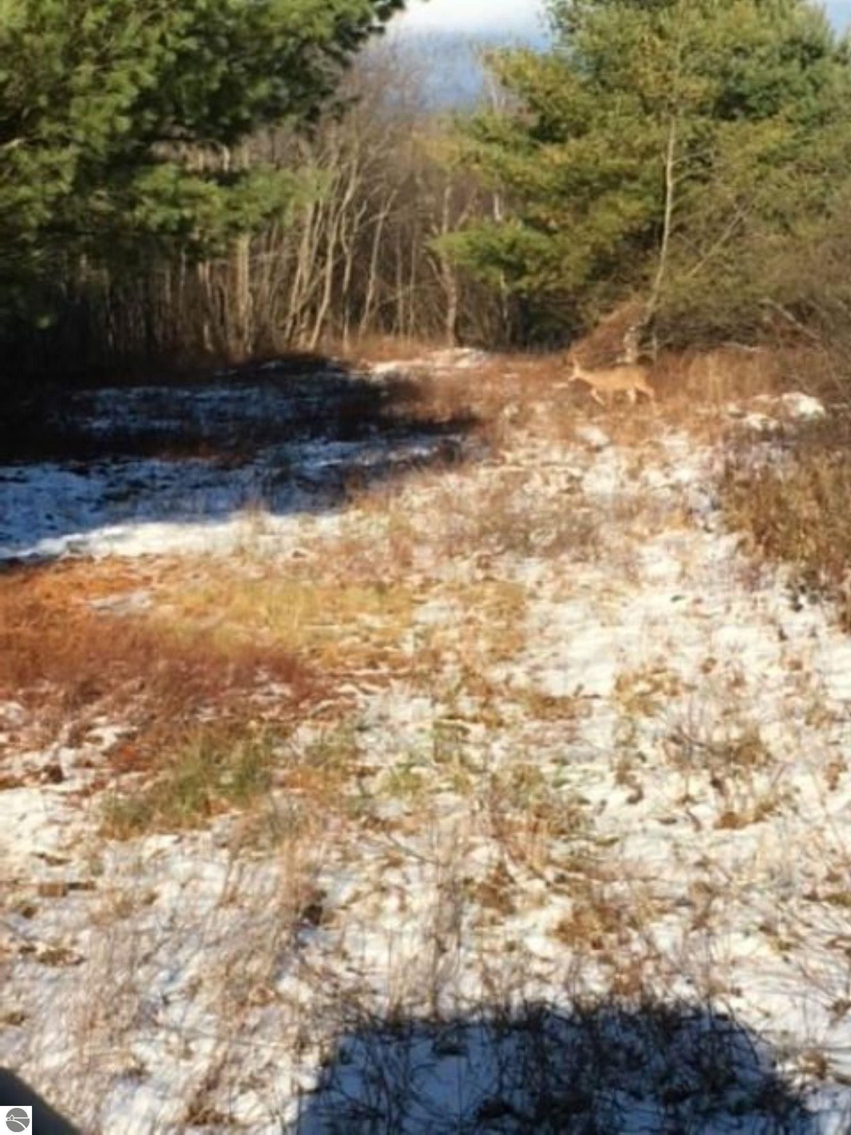 40 acres in Missaukee County, Michigan