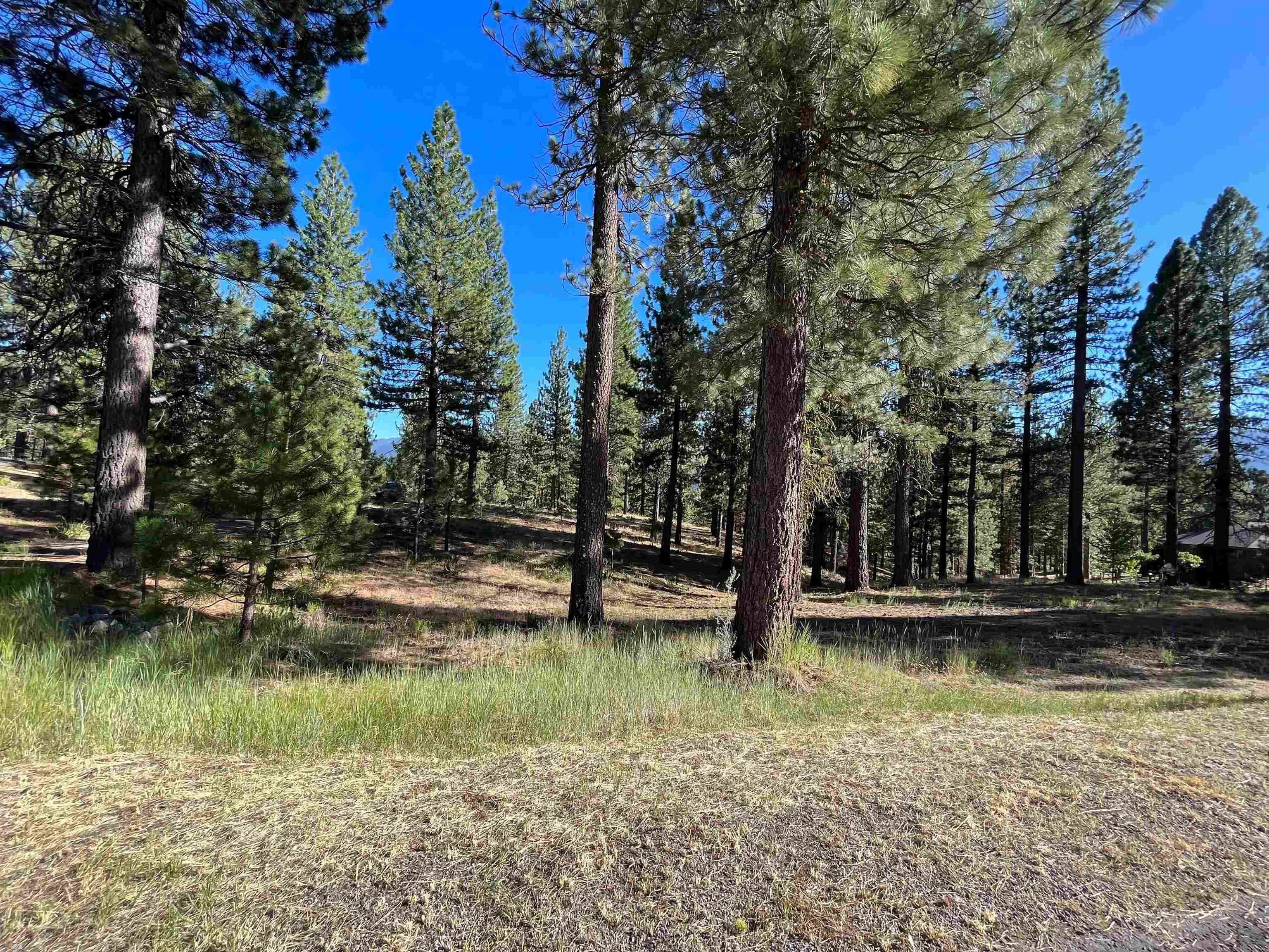 2.45 acres in Plumas County, California