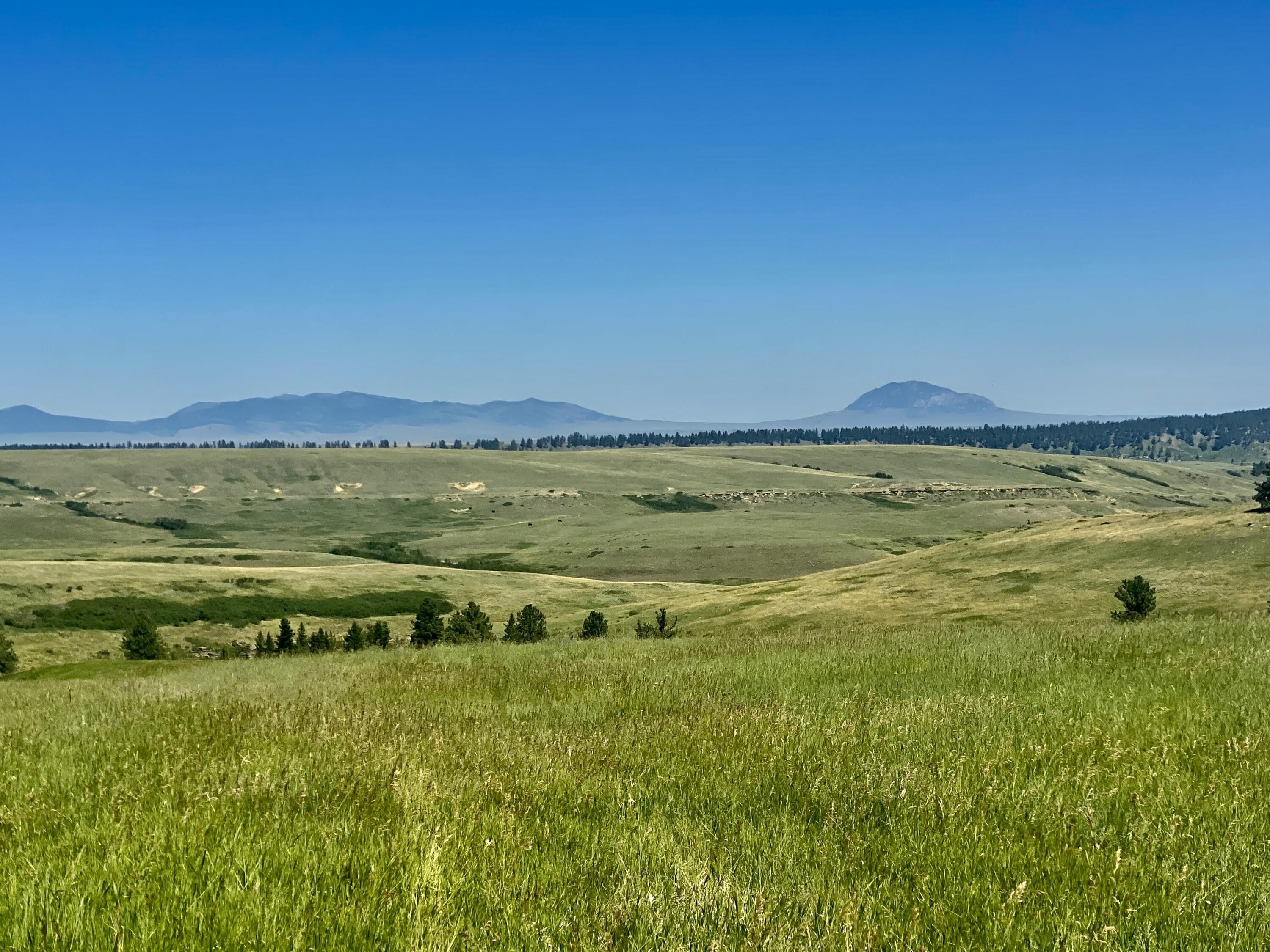 73 acres in Fergus County, Montana