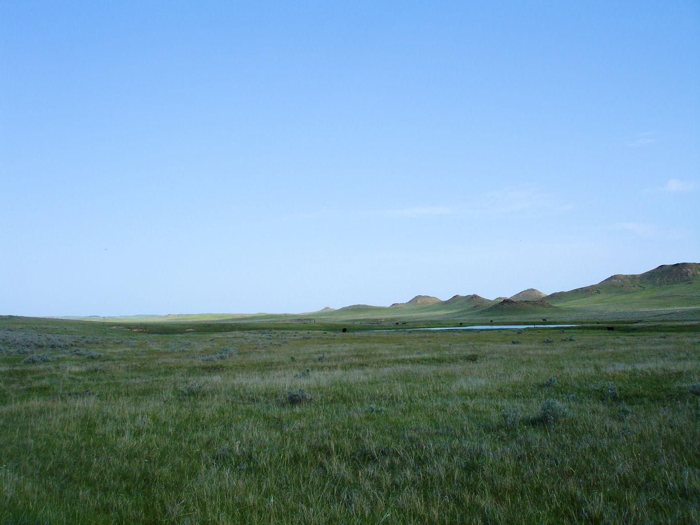 40 acres in Fergus County, Montana