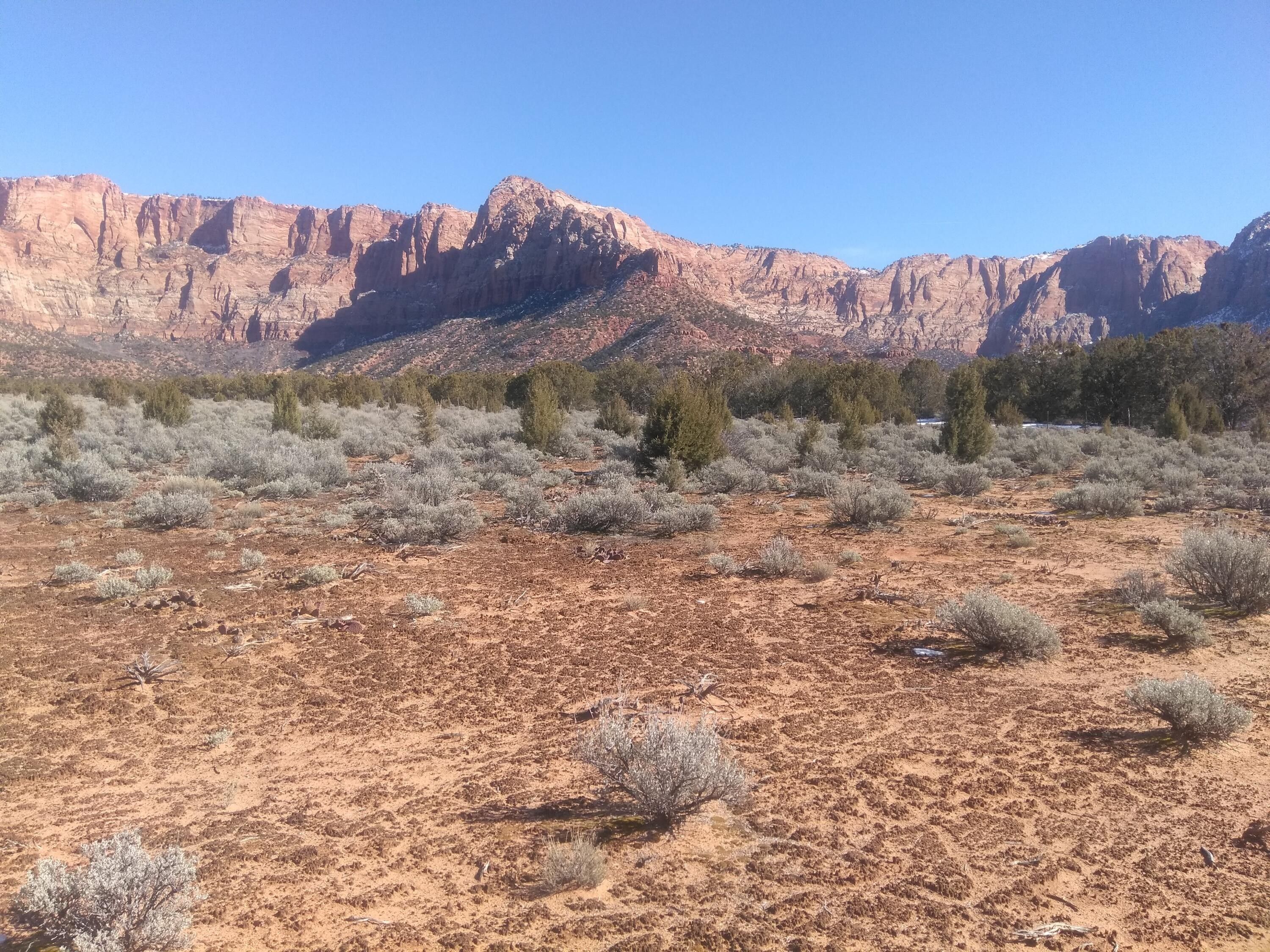 40 acres in Washington County, Utah