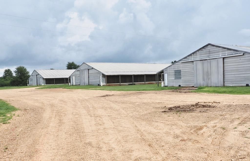 61 acres in Walthall County, Mississippi