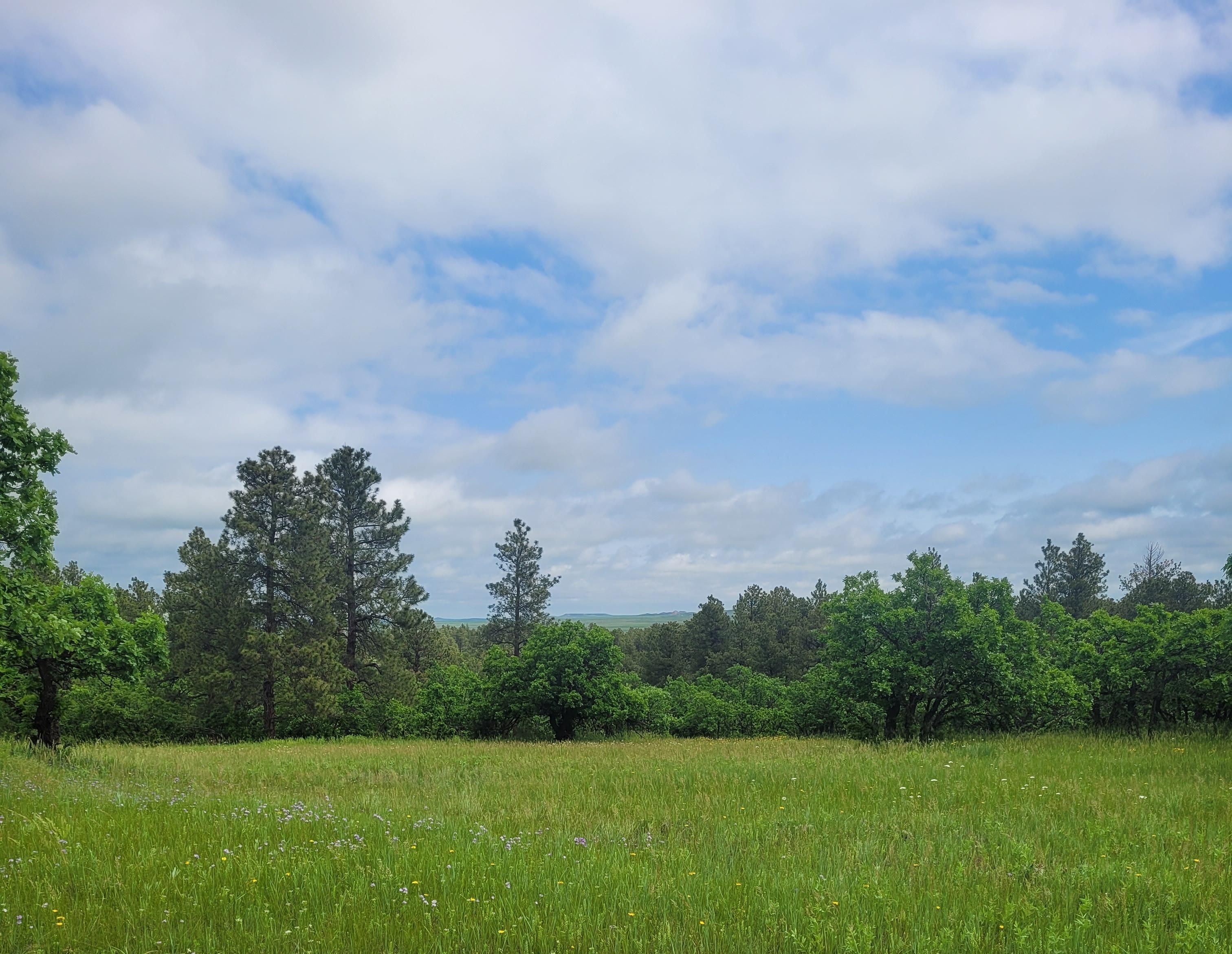 35.07 acres in Crook County, Wyoming