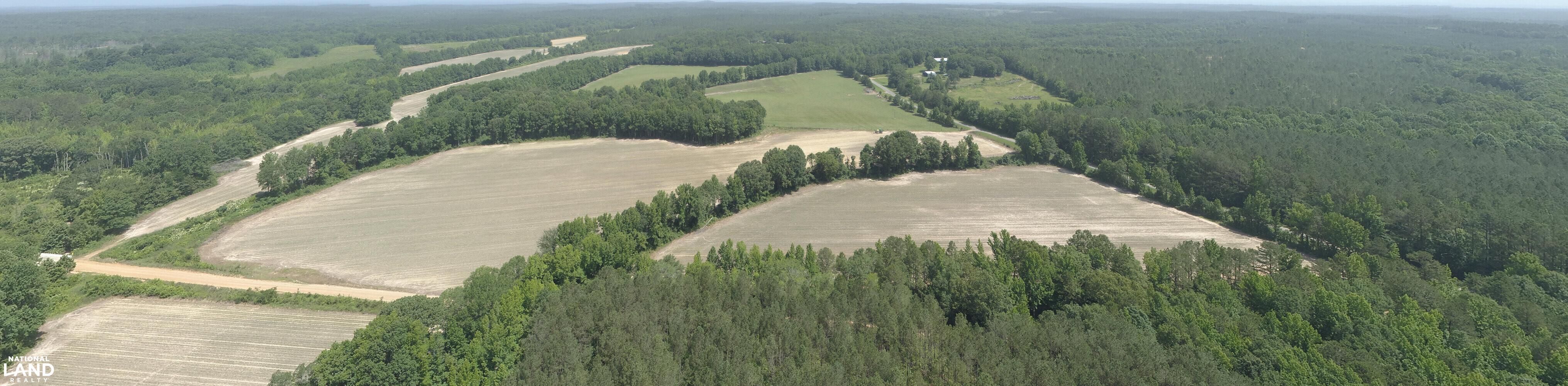 40 acres in ster County, Mississippi