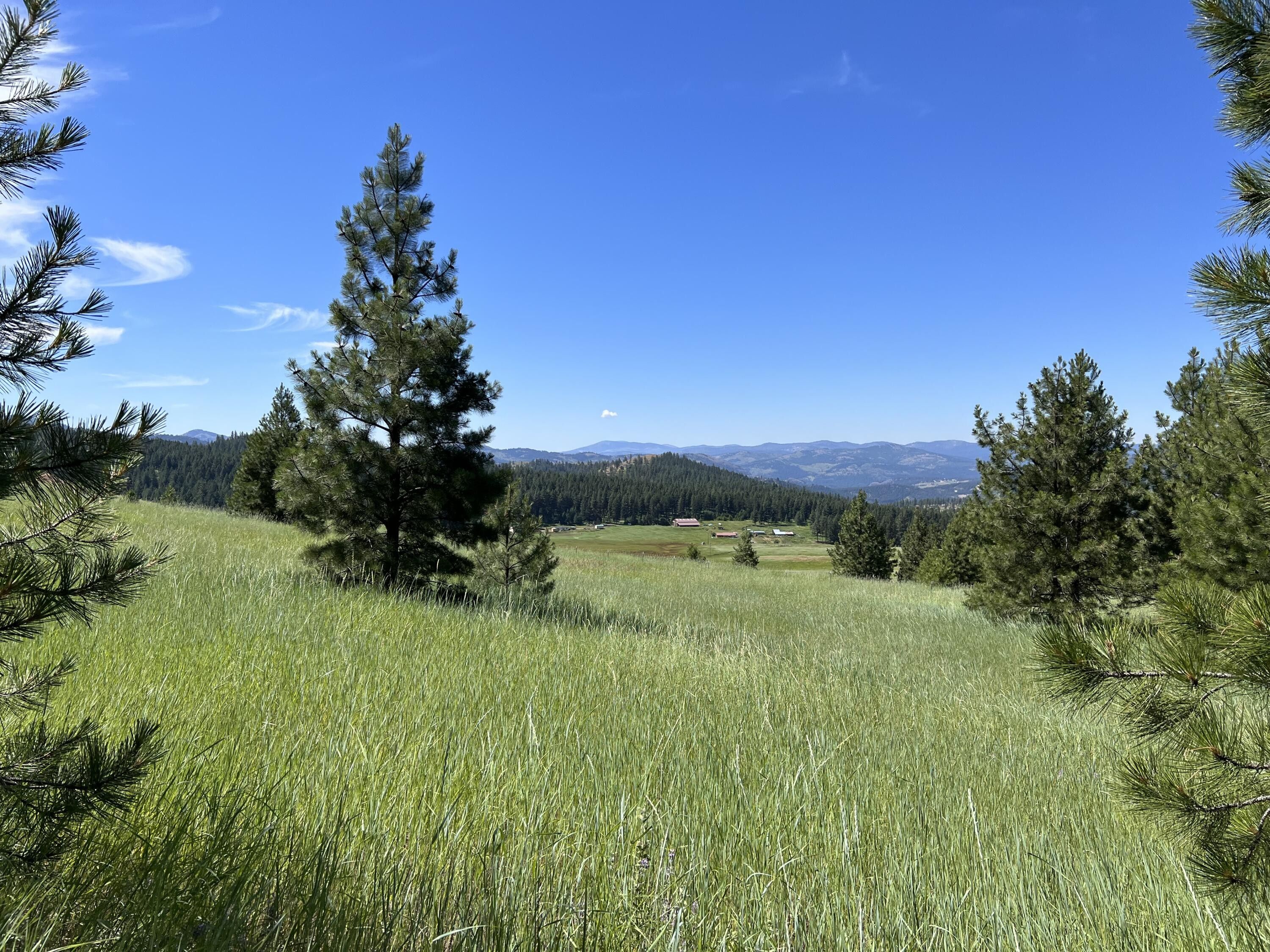 20 acres in Ferry County, Washington