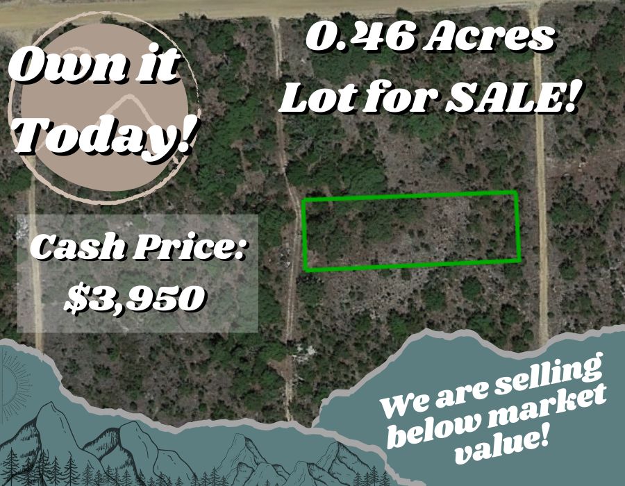 Dr, Interlachen, FL 32148