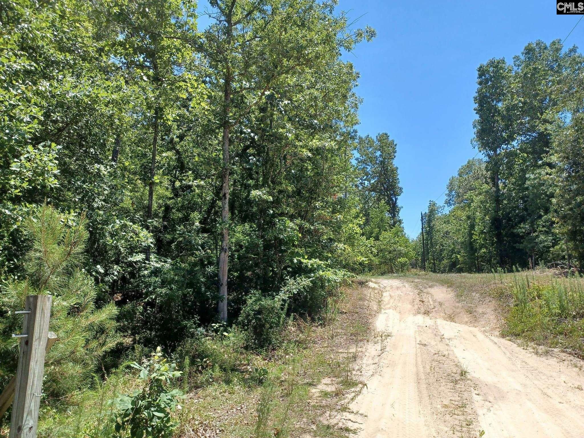 7 acres in Lexington County, South Carolina