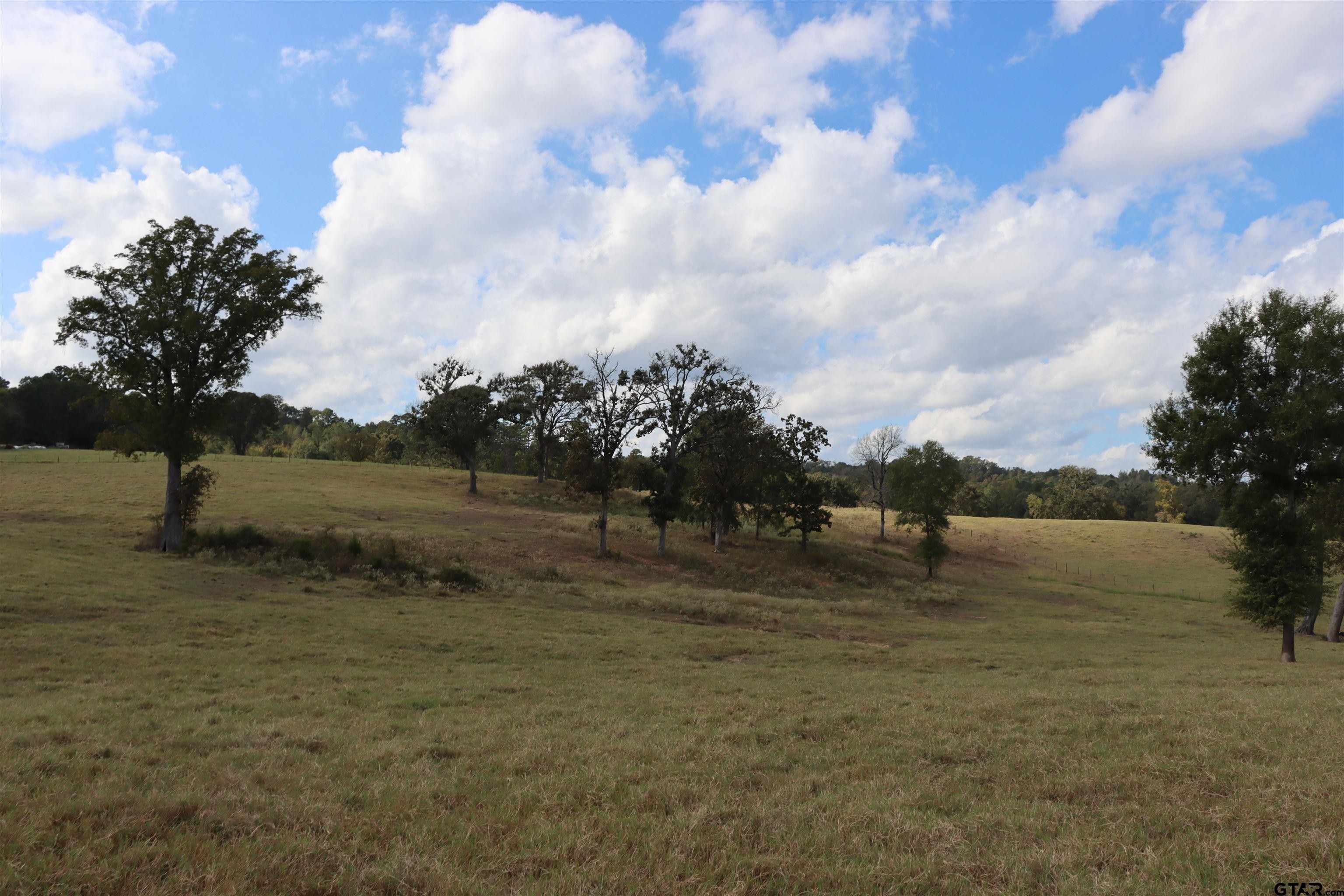 61 acres in Cherokee County, Texas