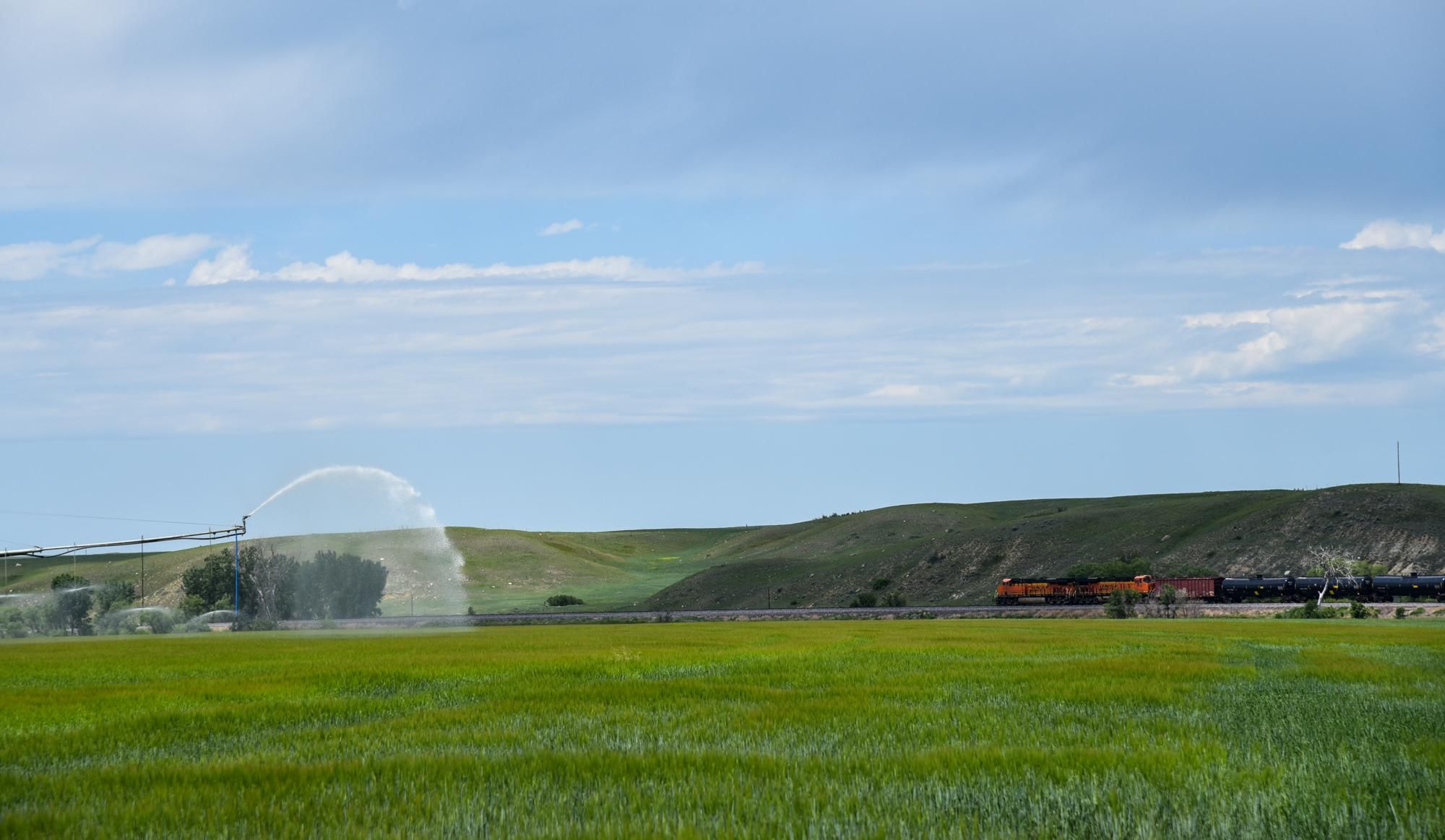 2,577 acres in Roosevelt County, Montana