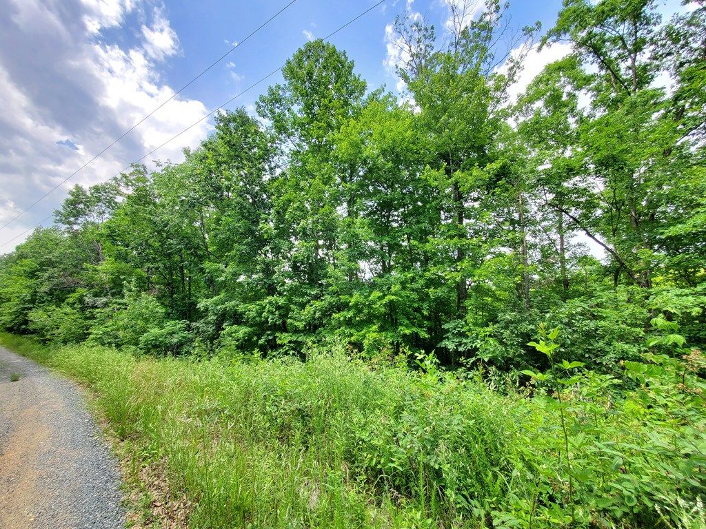 10.11 acres in Appomattox County, Virginia