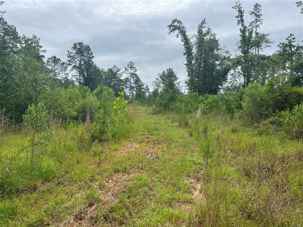 42 acres in Elmore County, Alabama