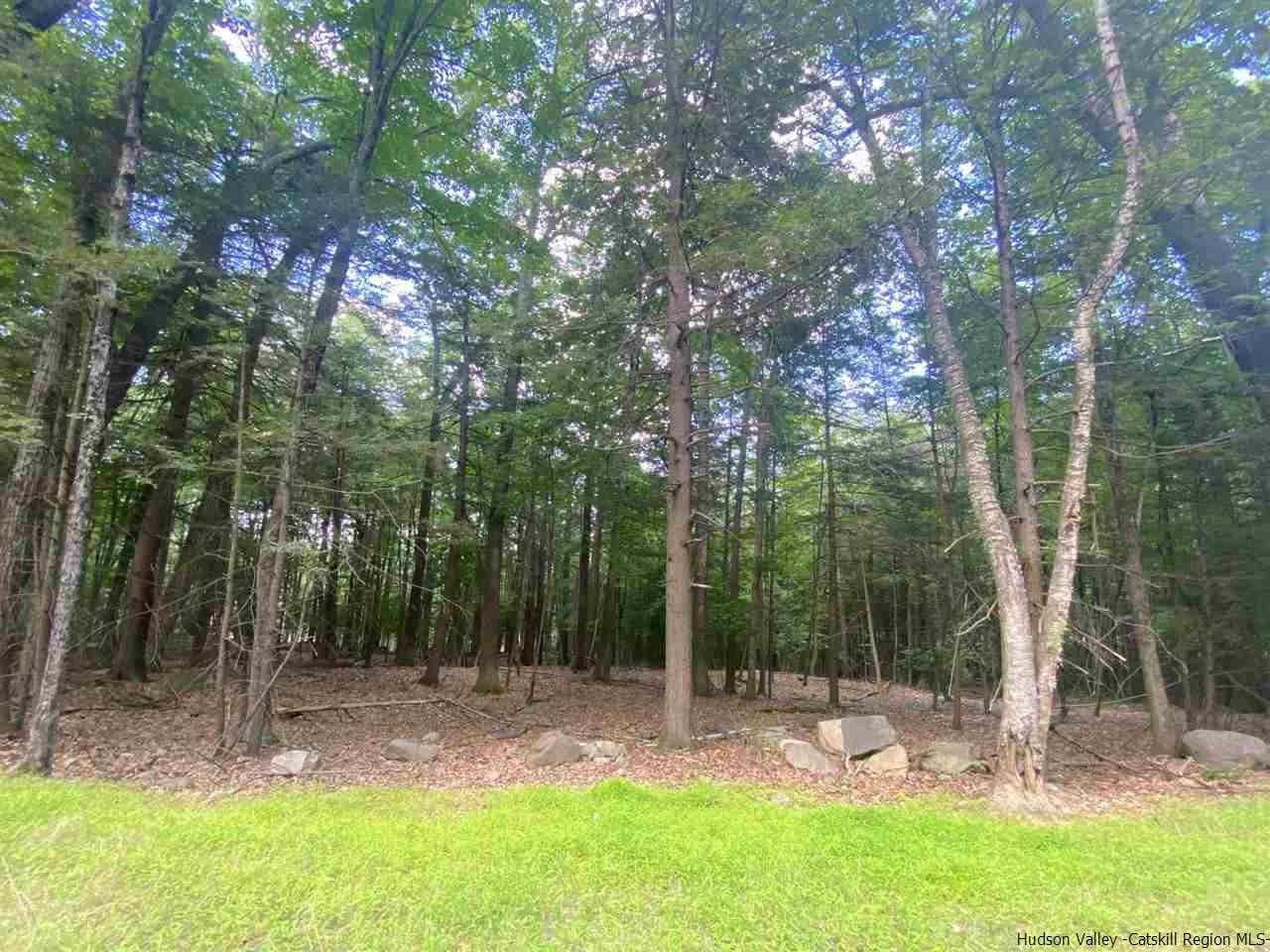 4.1 acres in Ulster County, New York