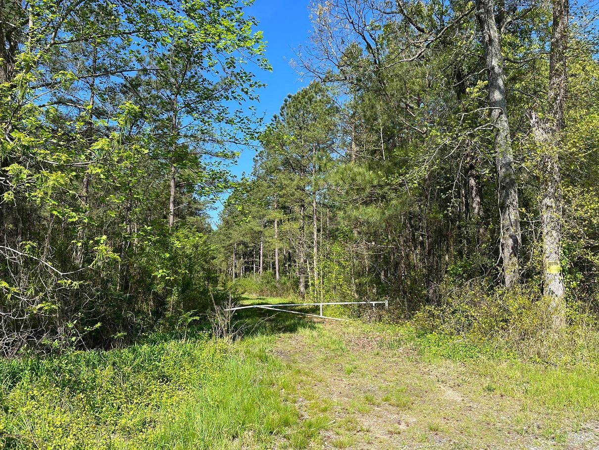 148 acres in Southampton County, Virginia