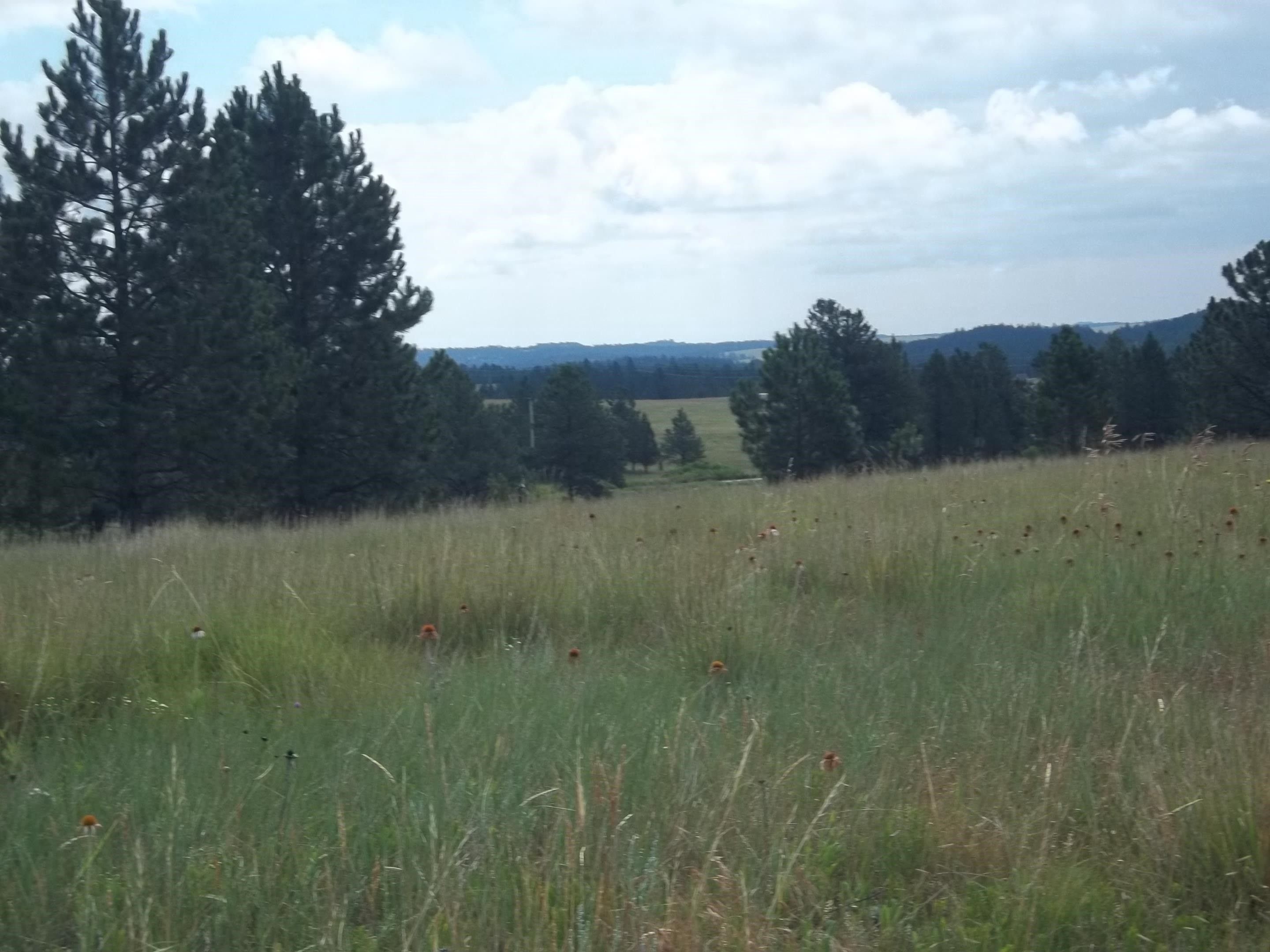 5.64 acres in Custer County, South Dakota