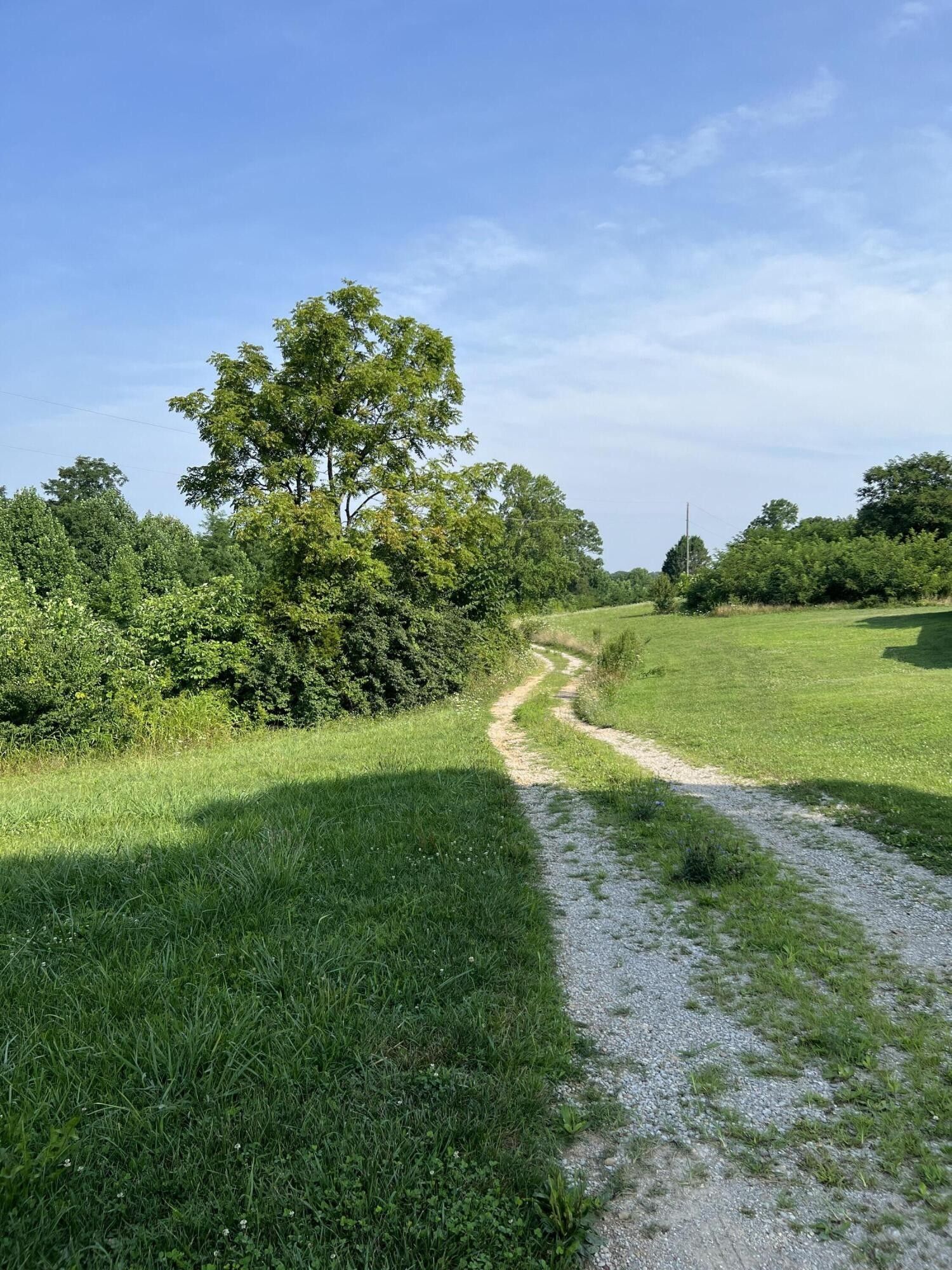 65 acres in Casey County, Kentucky