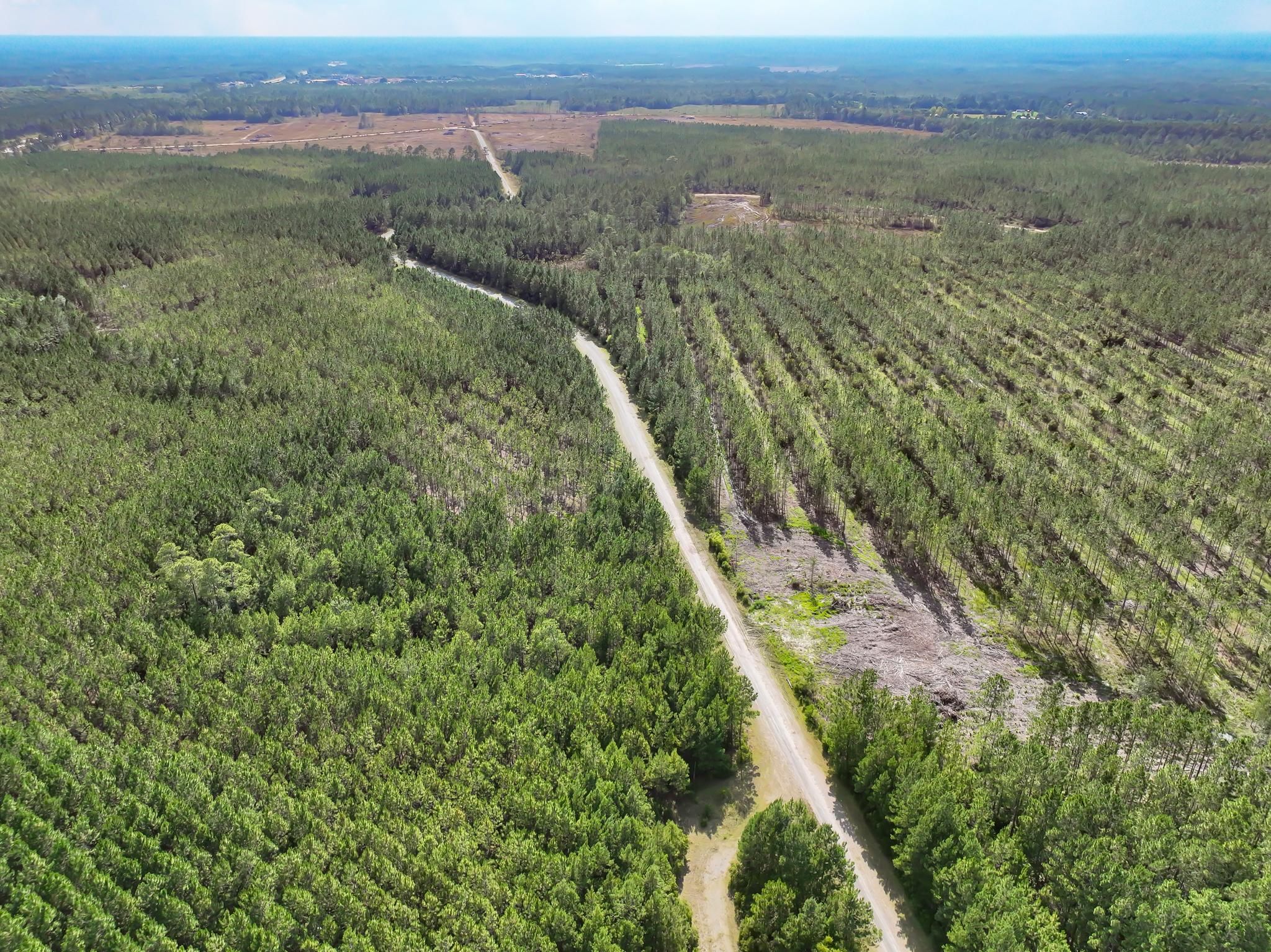 224 acres in Brantley County,