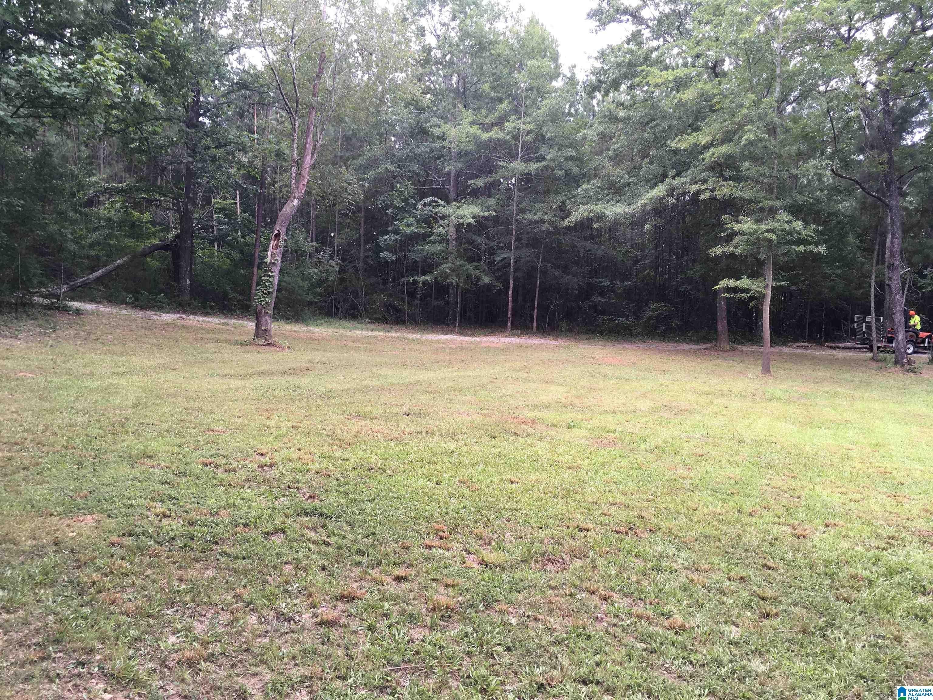 8.17 acres in Talladega County, Alabama