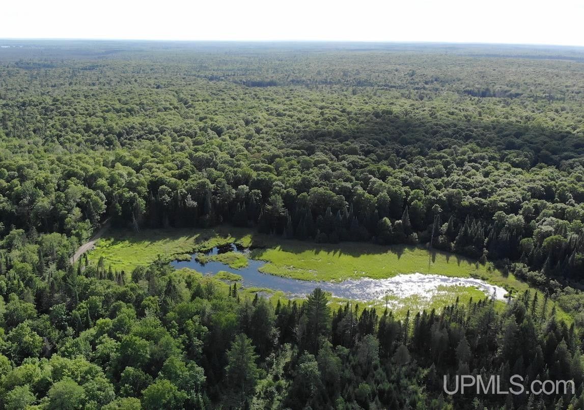 80 acres in Baraga County, Michigan