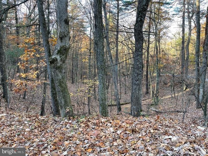 8 acres in Hardy County, West Virginia