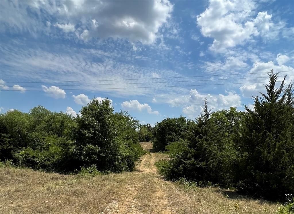 50 acres in Cooke County, Texas