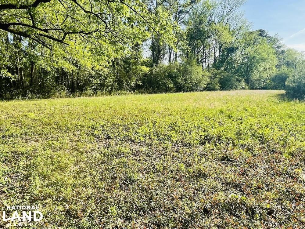 6 acres in Pender County, North Carolina