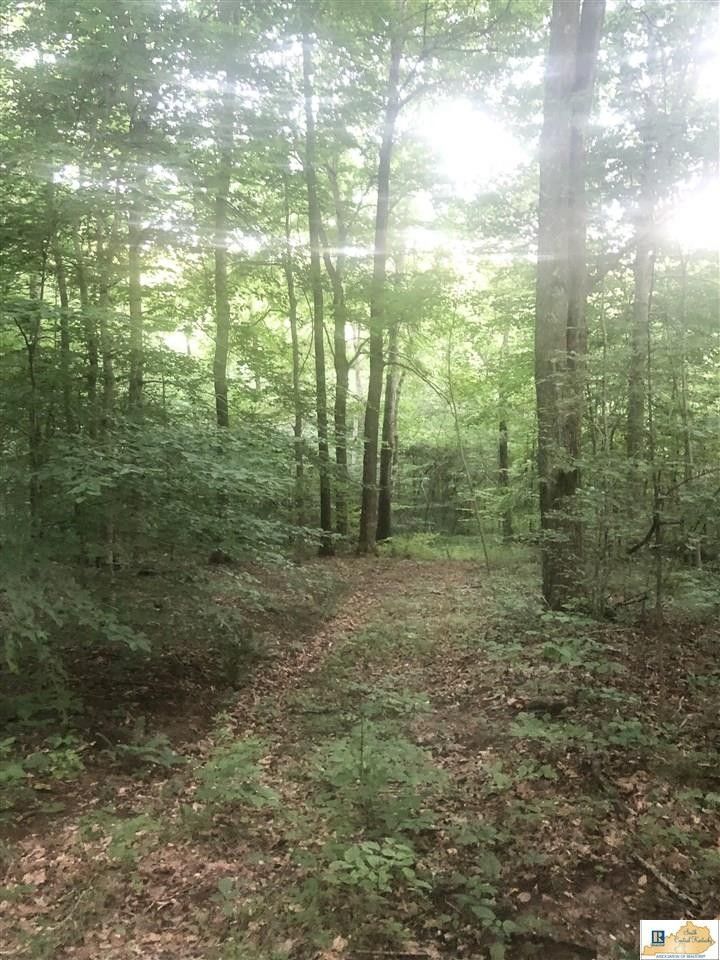 60 acres in Taylor County, Kentucky