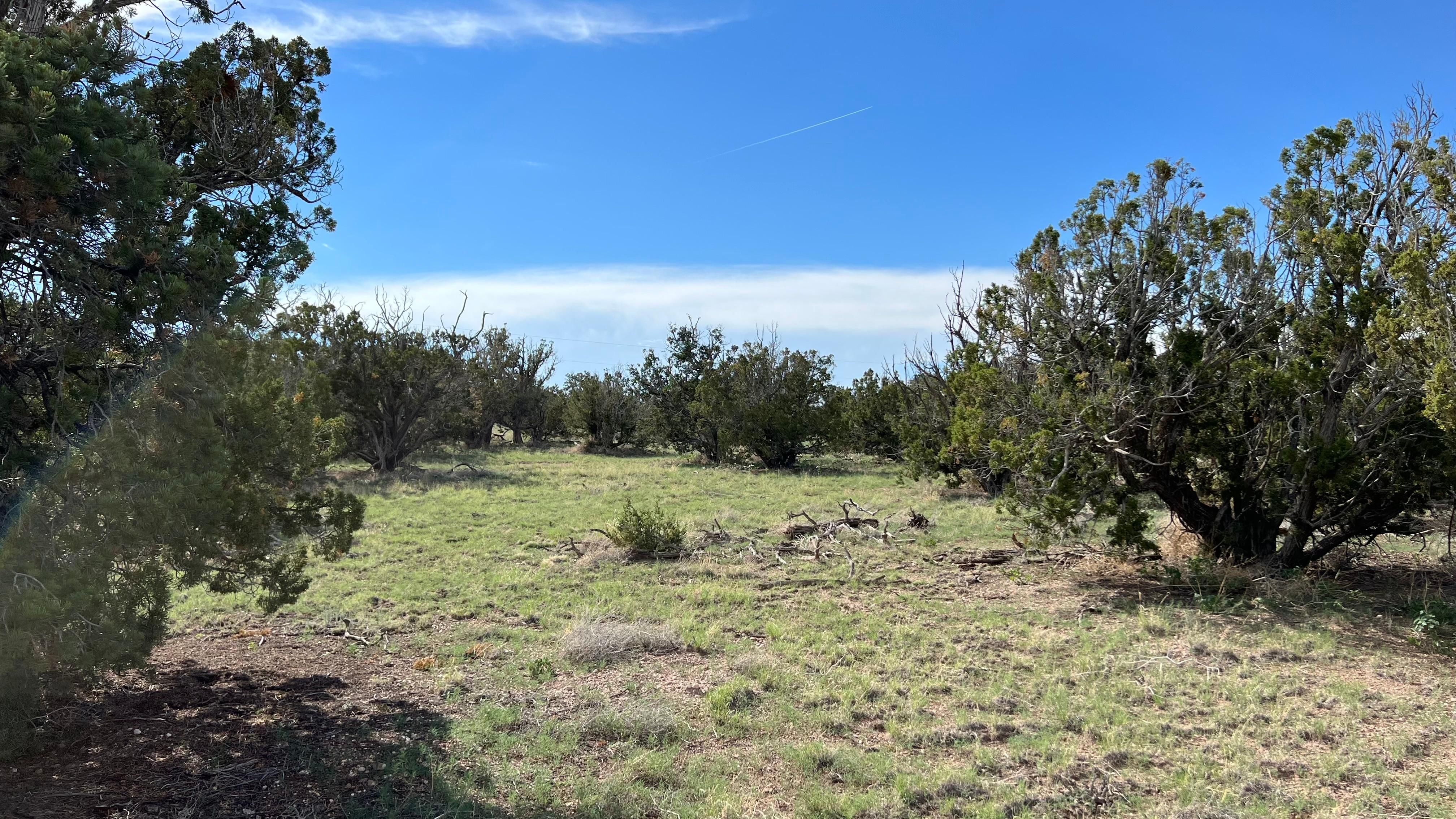 6.53 acres in Catron County, New Mexico