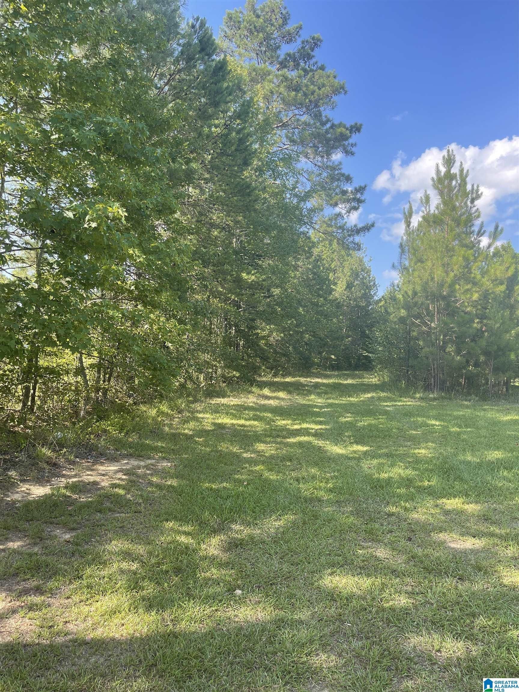 45 acres in Cherokee County, Alabama