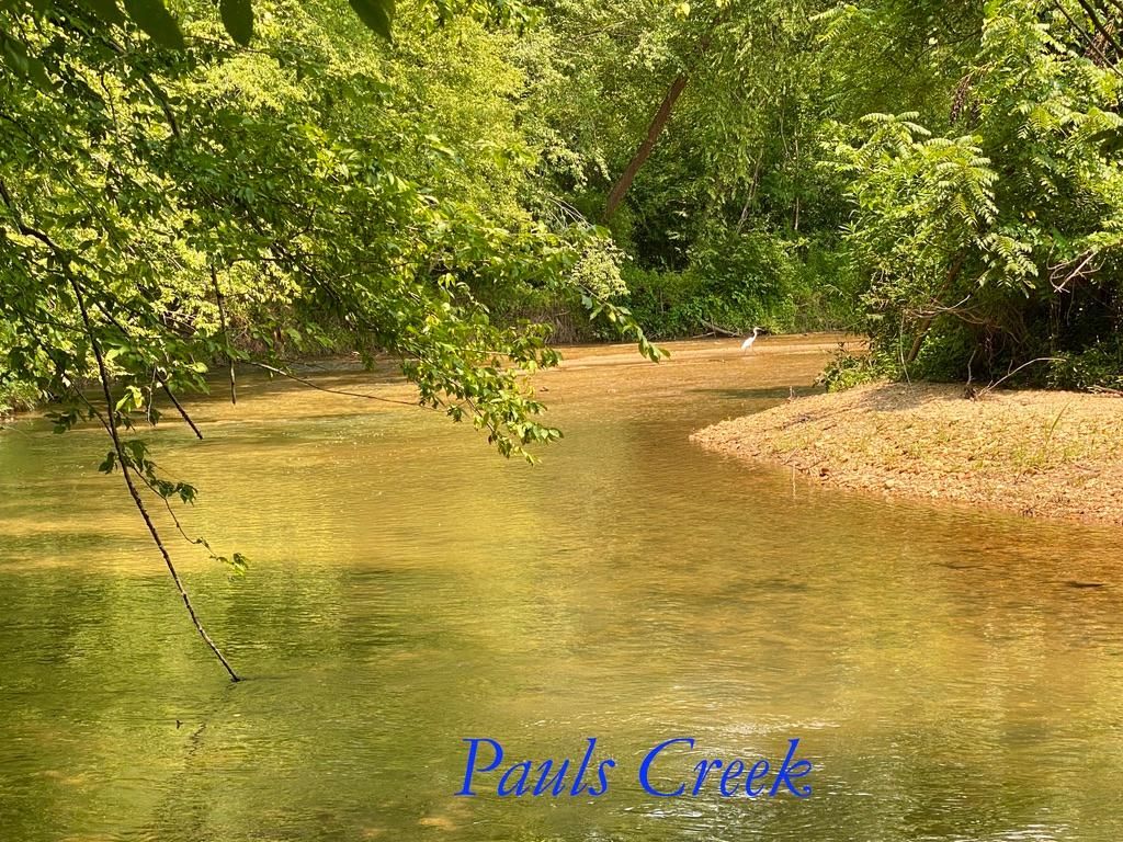 10 acres in Surry County, North Carolina