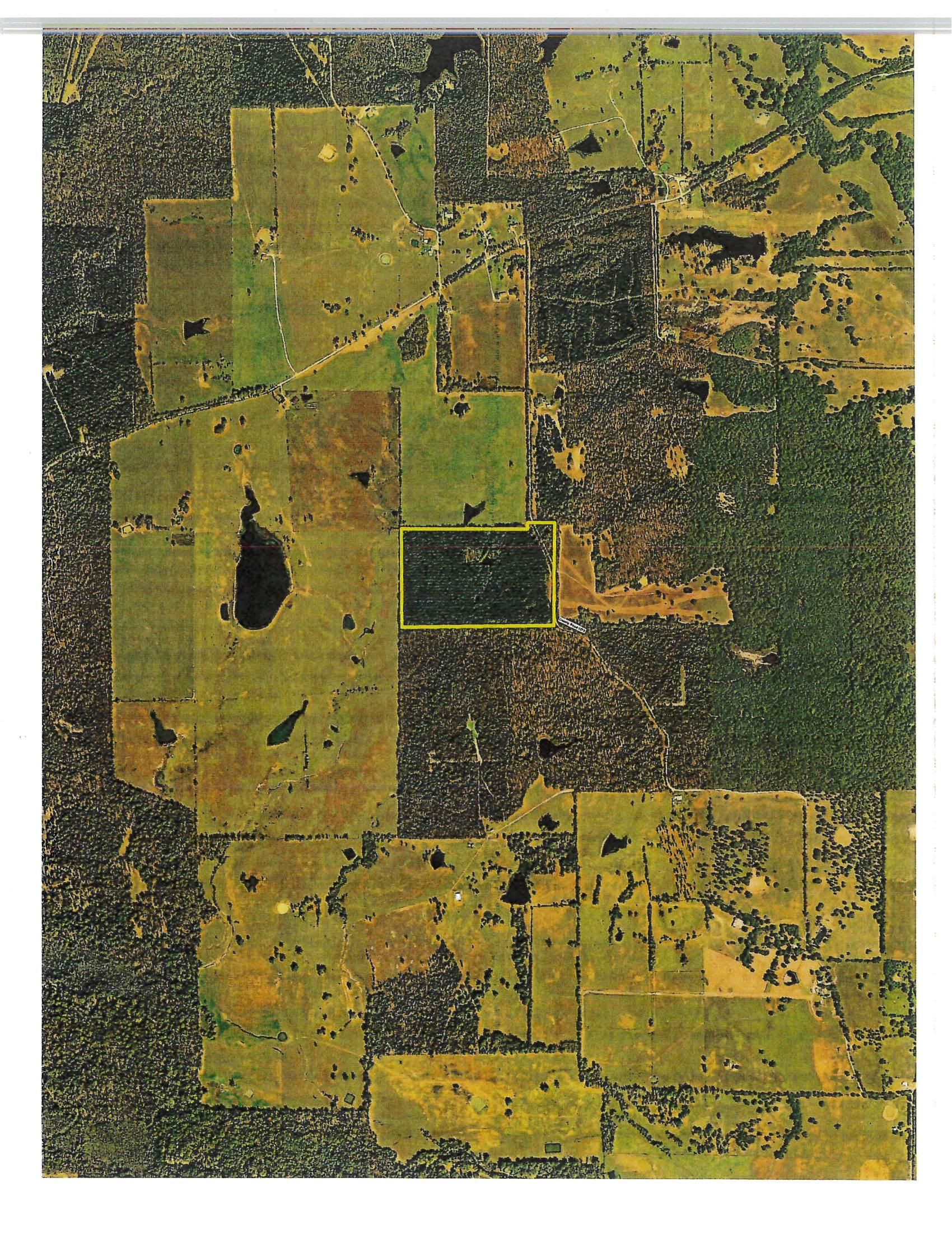 53.5 acres in Red River County, Texas