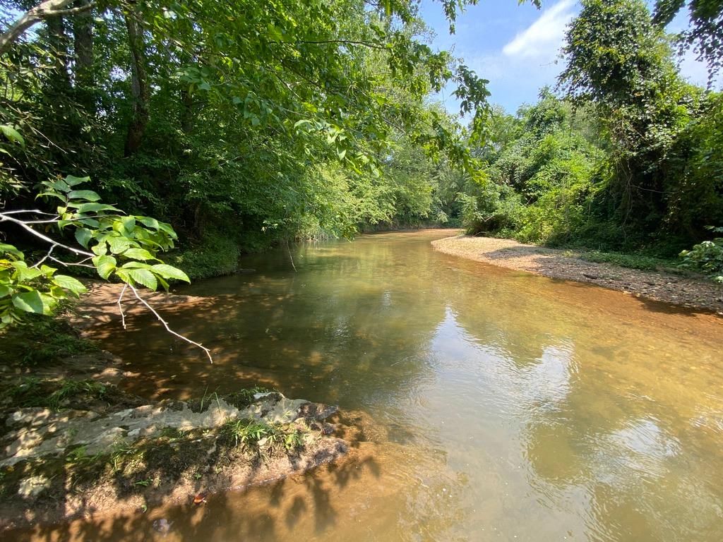 23 acres in Surry County, North Carolina