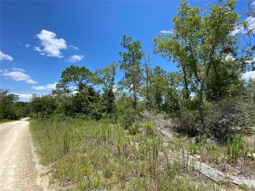 1 acres in Levy County, Florida