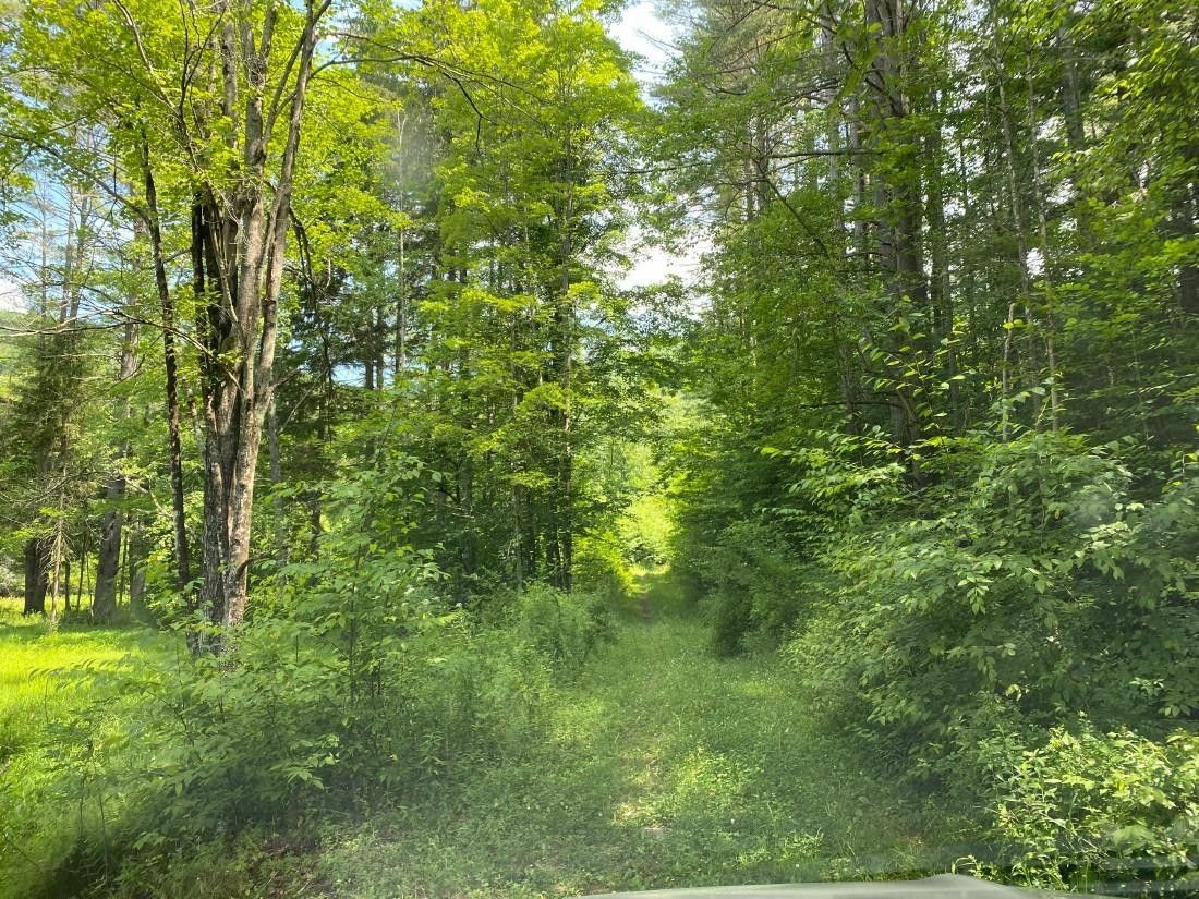 119.54 acres in Delaware County, New York