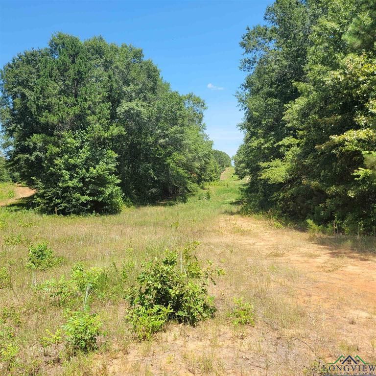 13.06 acres in Harrison County, Texas