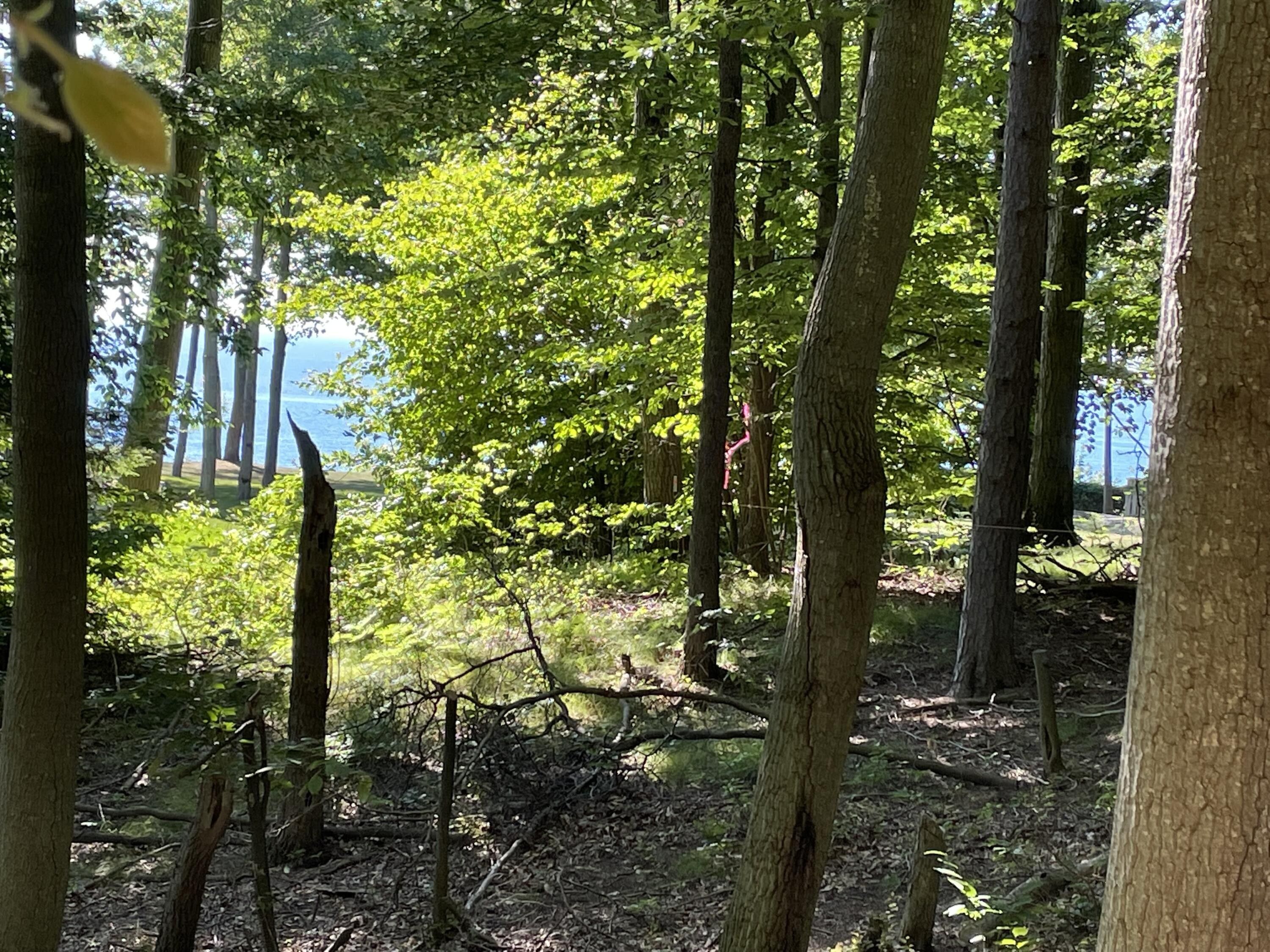 1.24 acres in Oceana County, Michigan