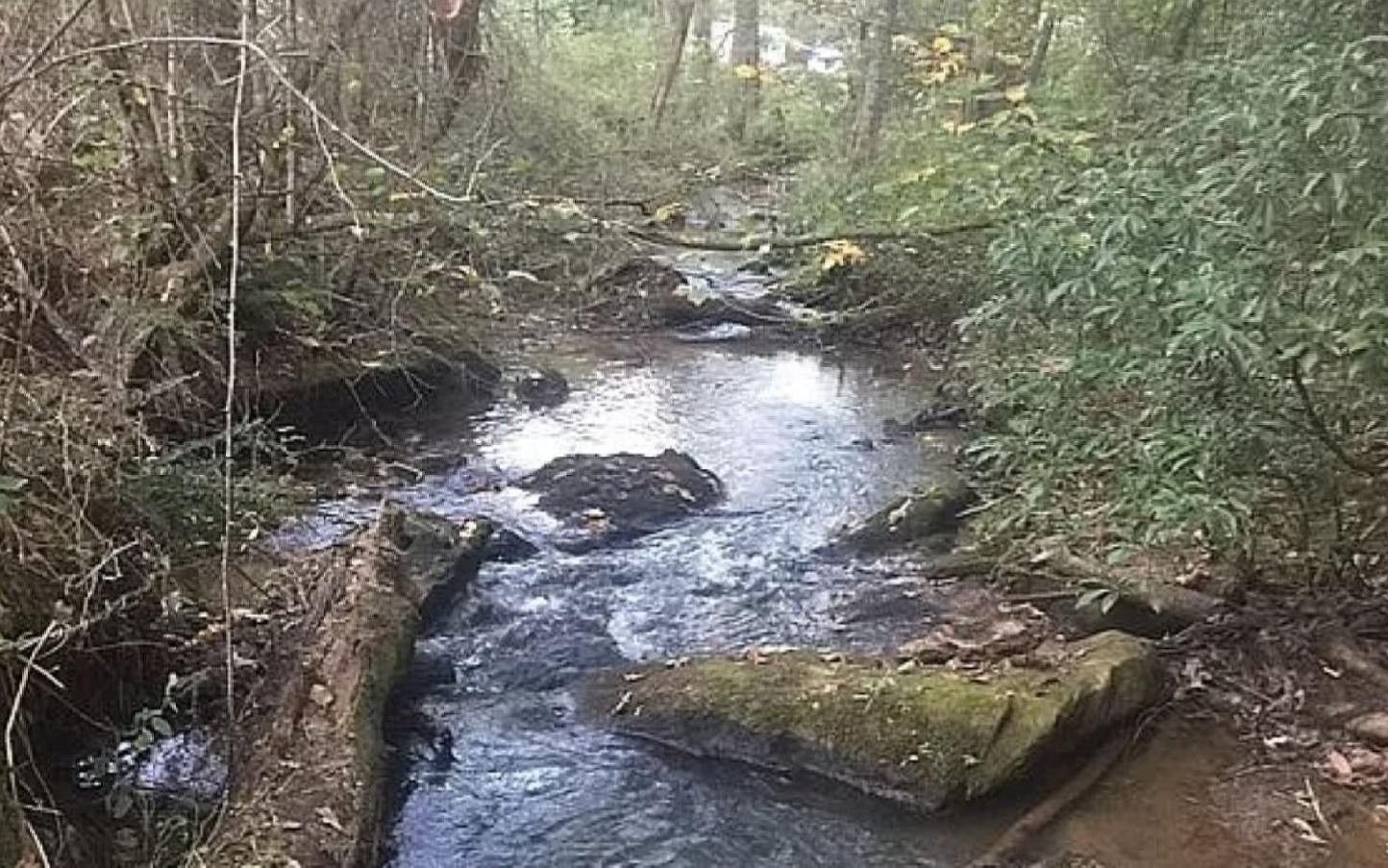 6.8 acres in Fannin County,