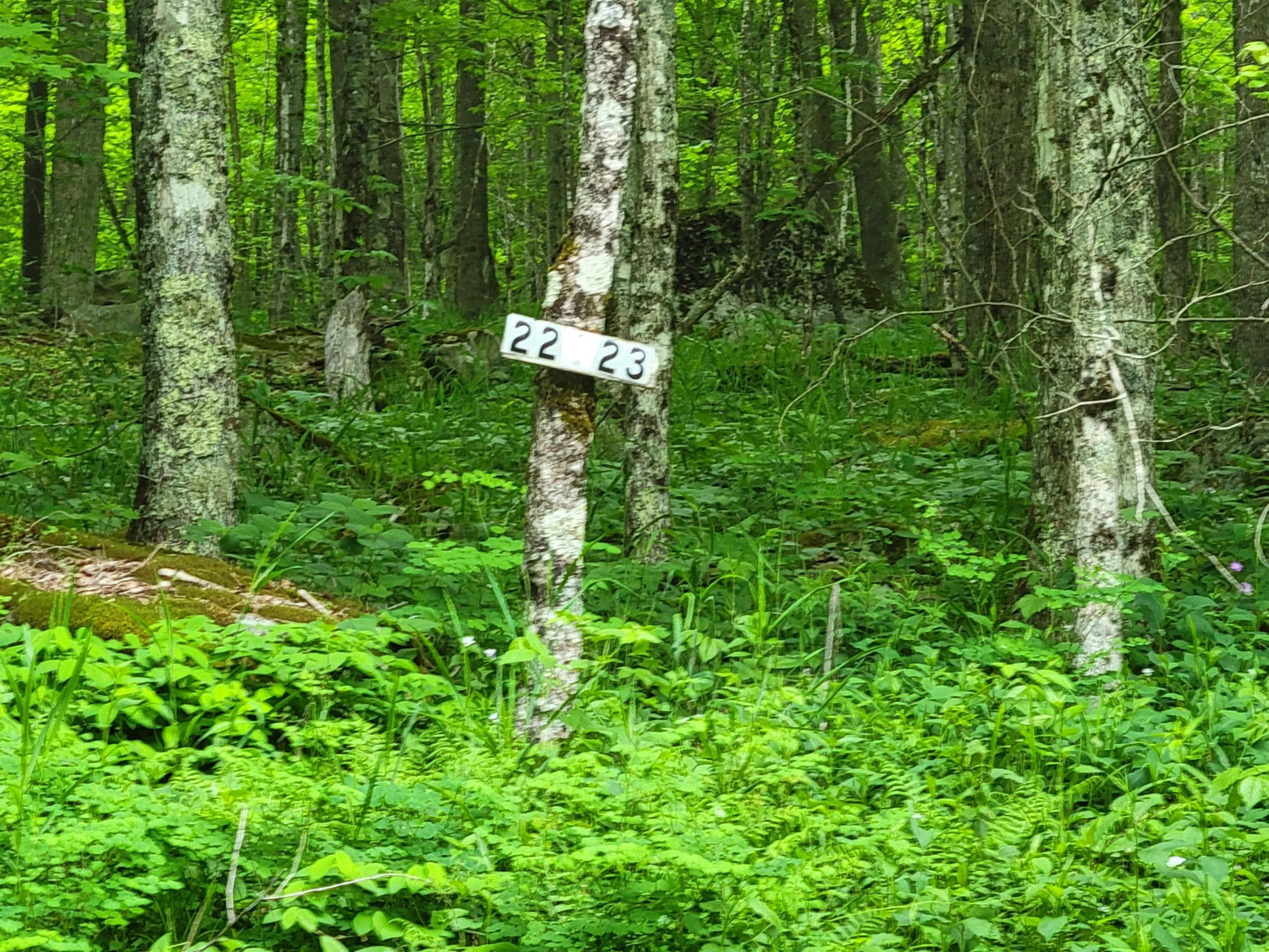 4.01 acres in Pocahontas County, West Virginia