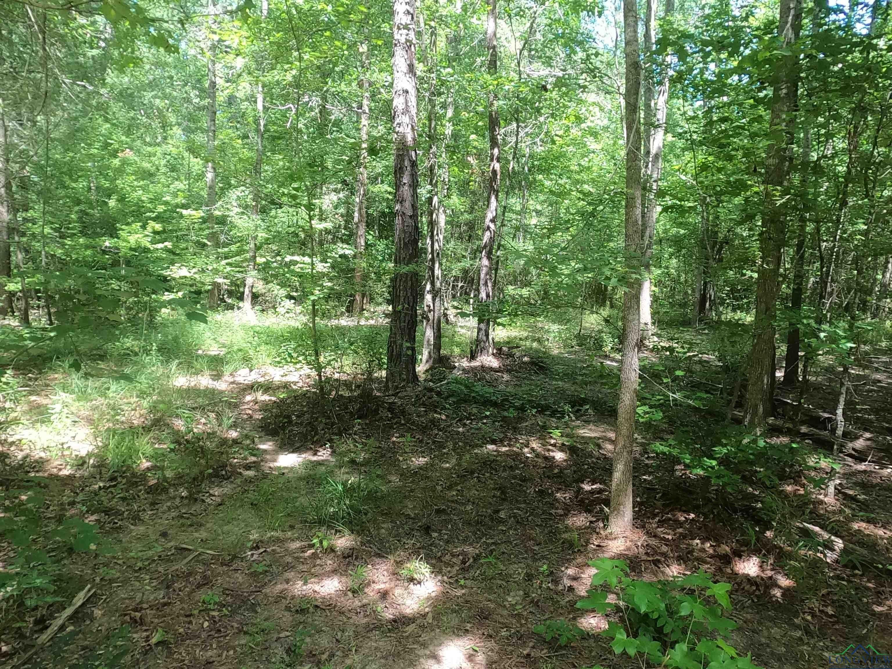 40 acres in Rusk County, Texas