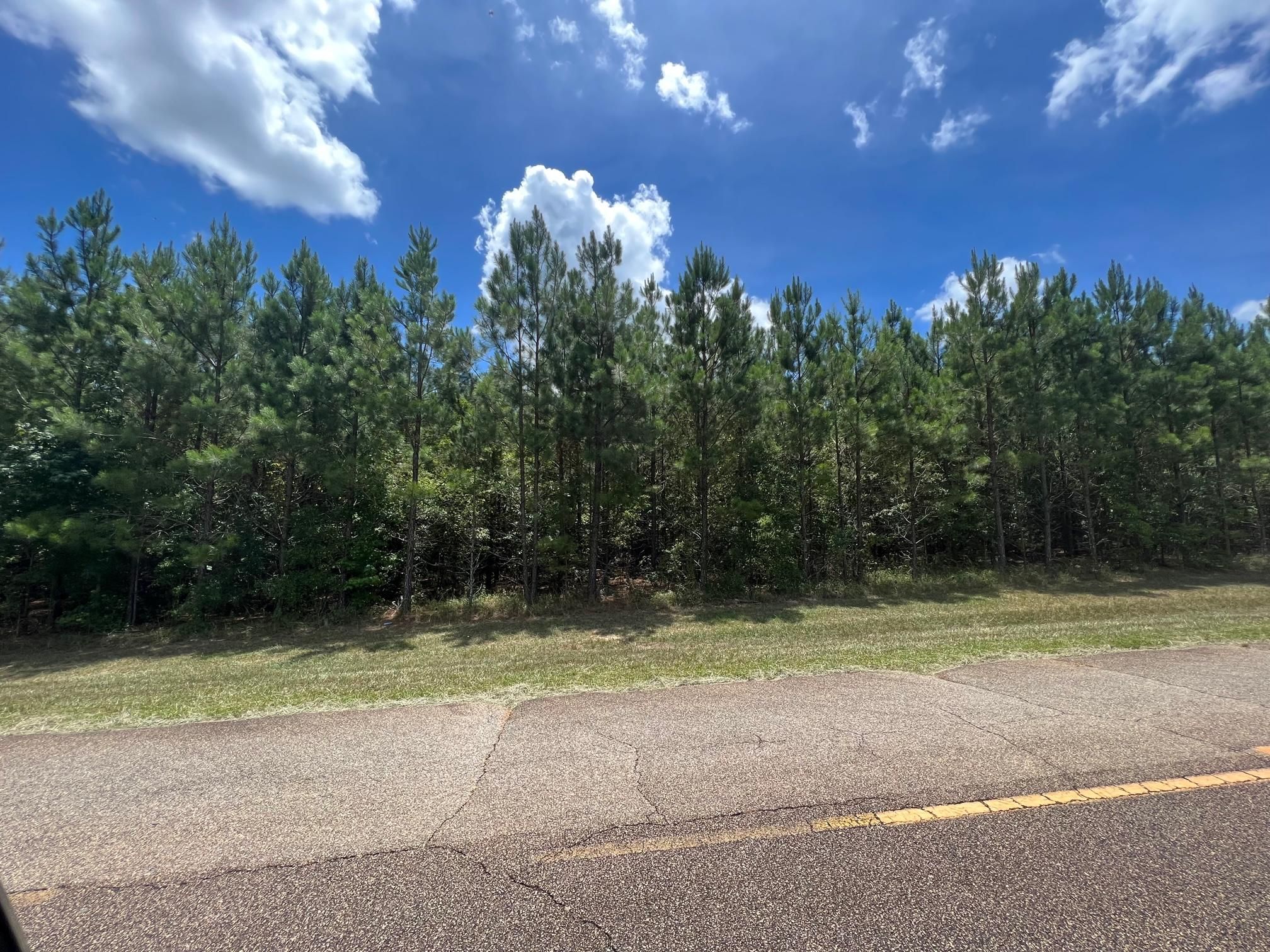 28 acres in Sumter County,